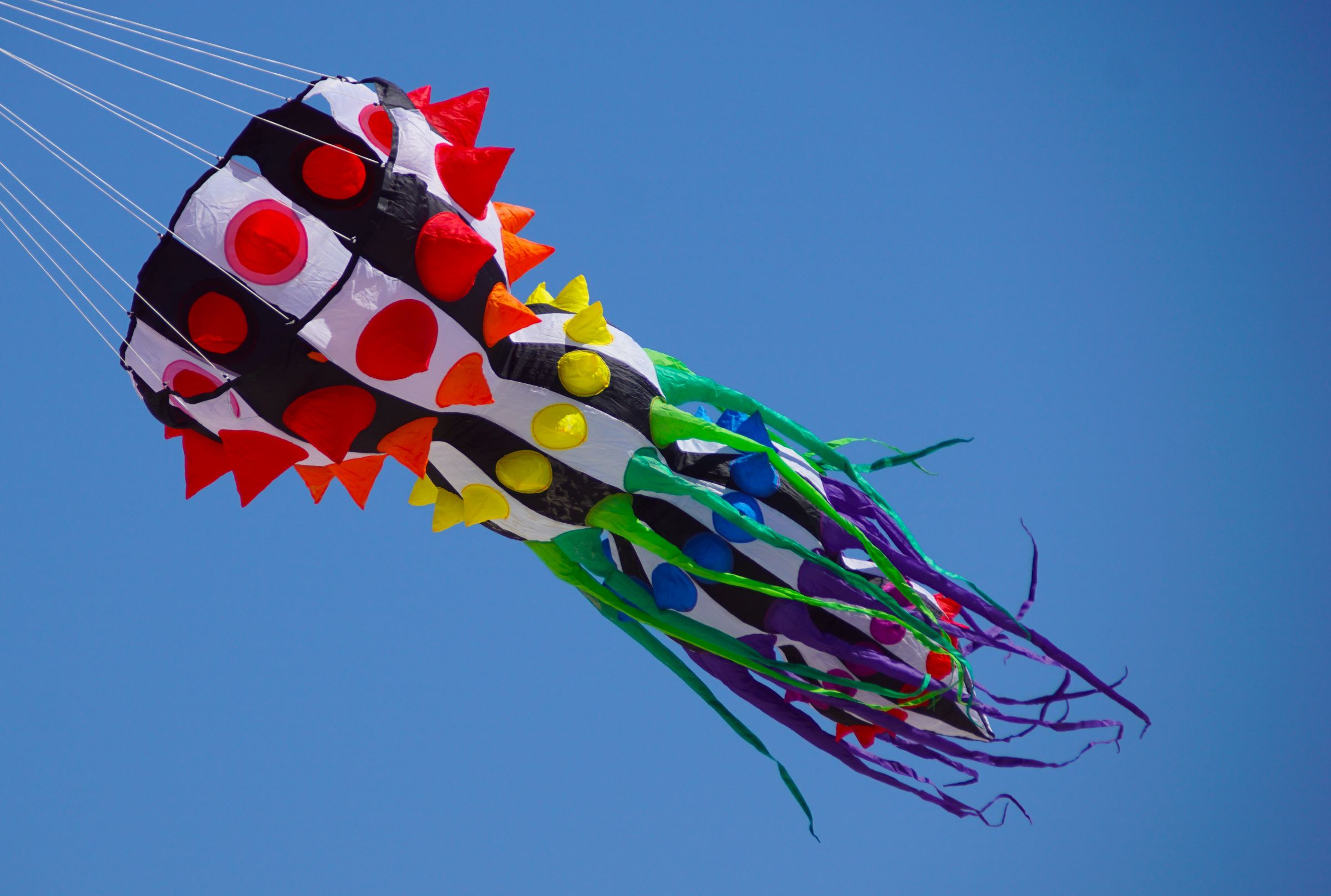 Sportdrachen 15 50049654343 o