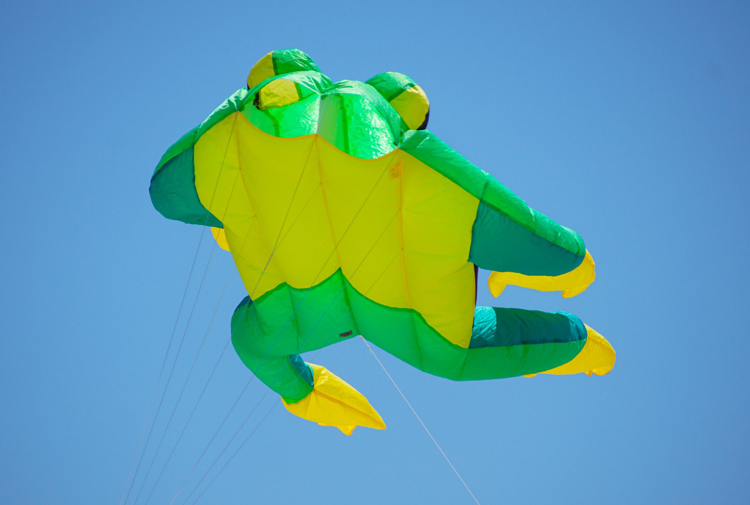 Sportdrachen Vejers Strand Dänemark