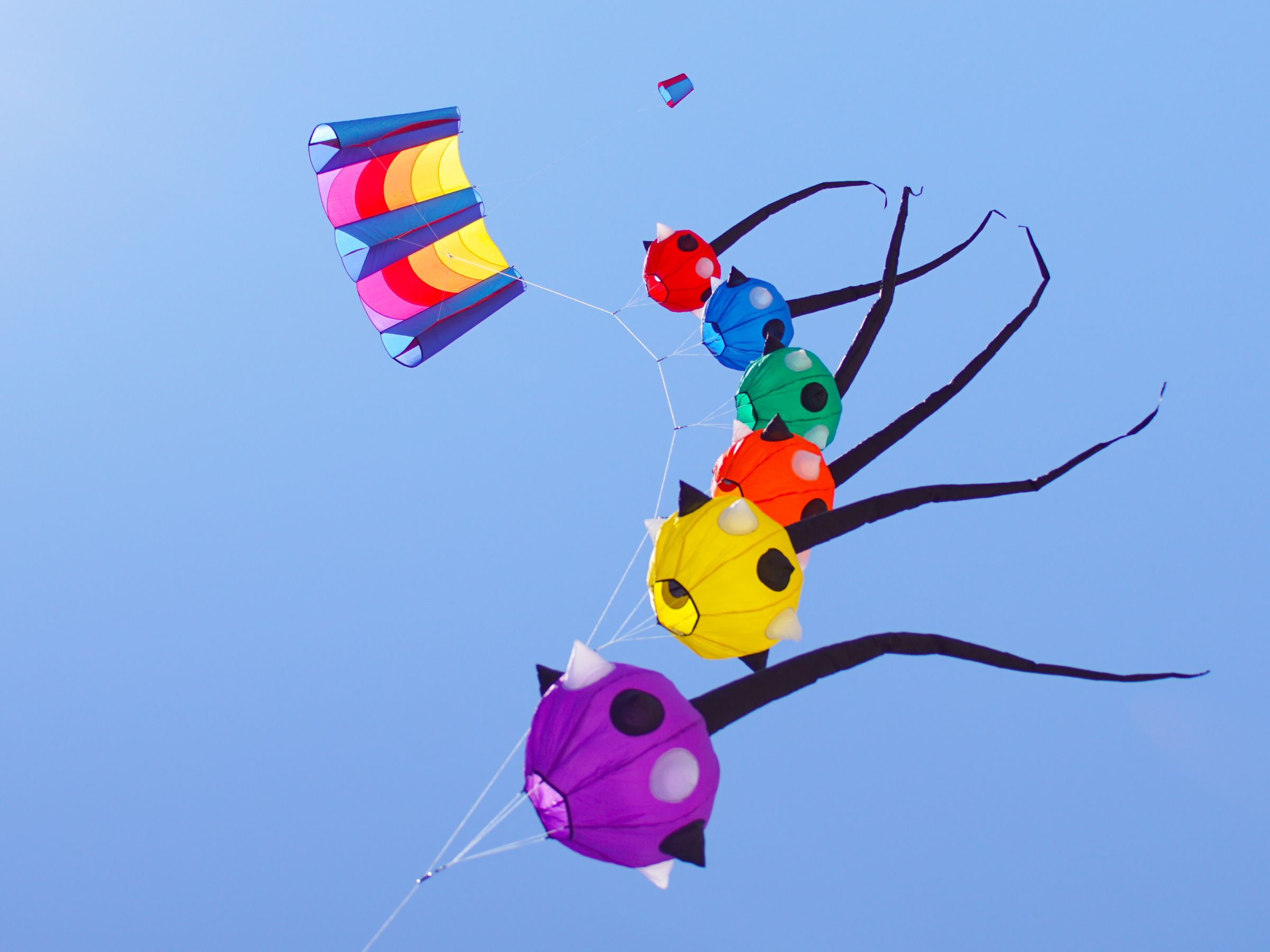 Sportdrachen Vejers Strand Dänemark