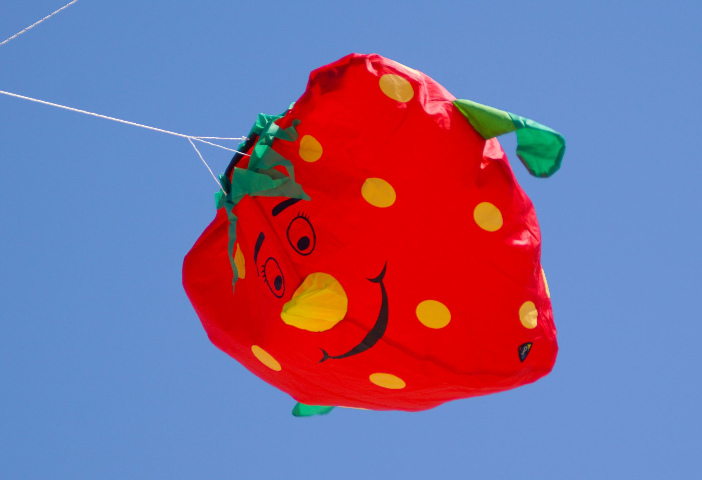 Sportdrachen Vejers Strand Dänemark