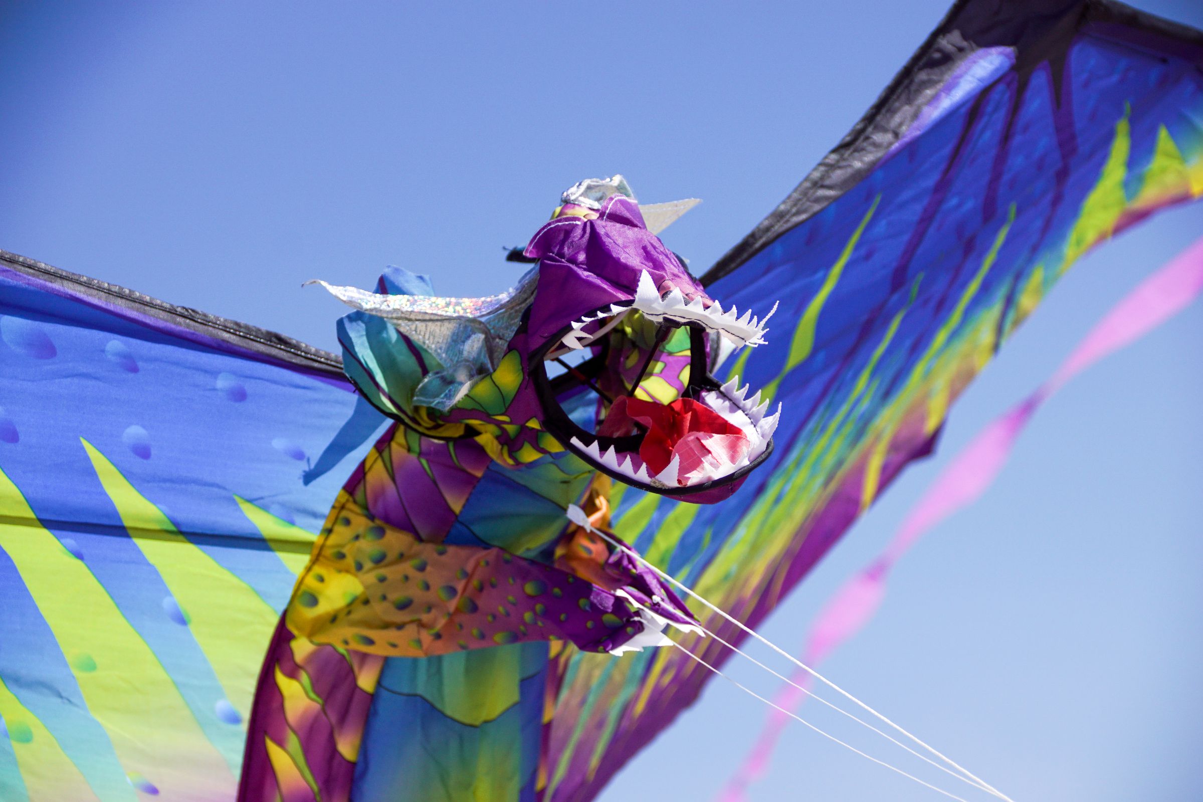 Sportdrachen Vejers Strand Dänemark