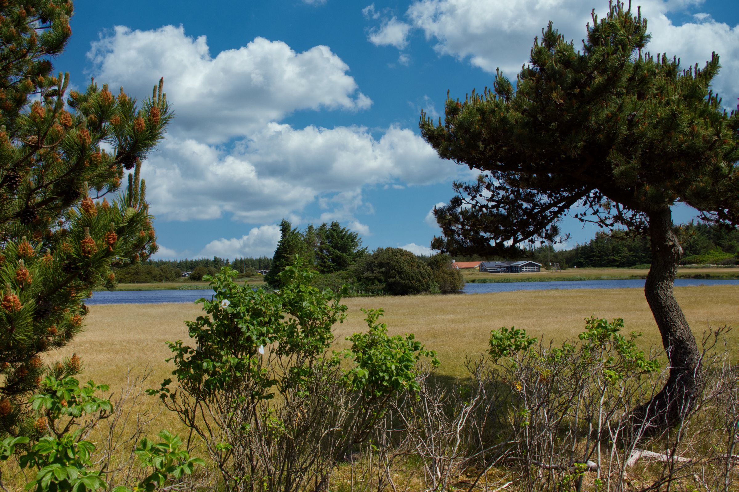 Vejers Strand Dänemark
