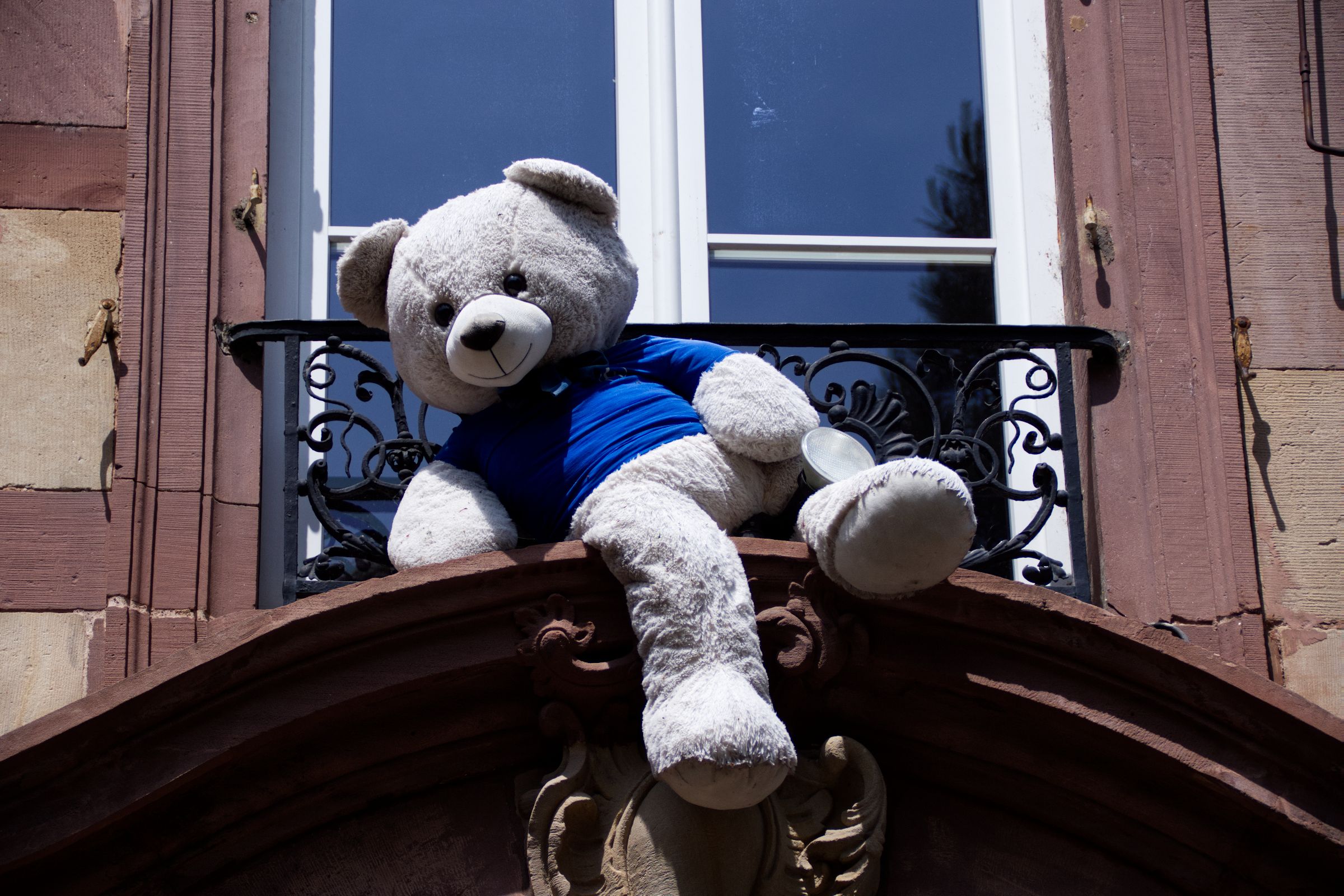 Teddy Haus Strasbourg