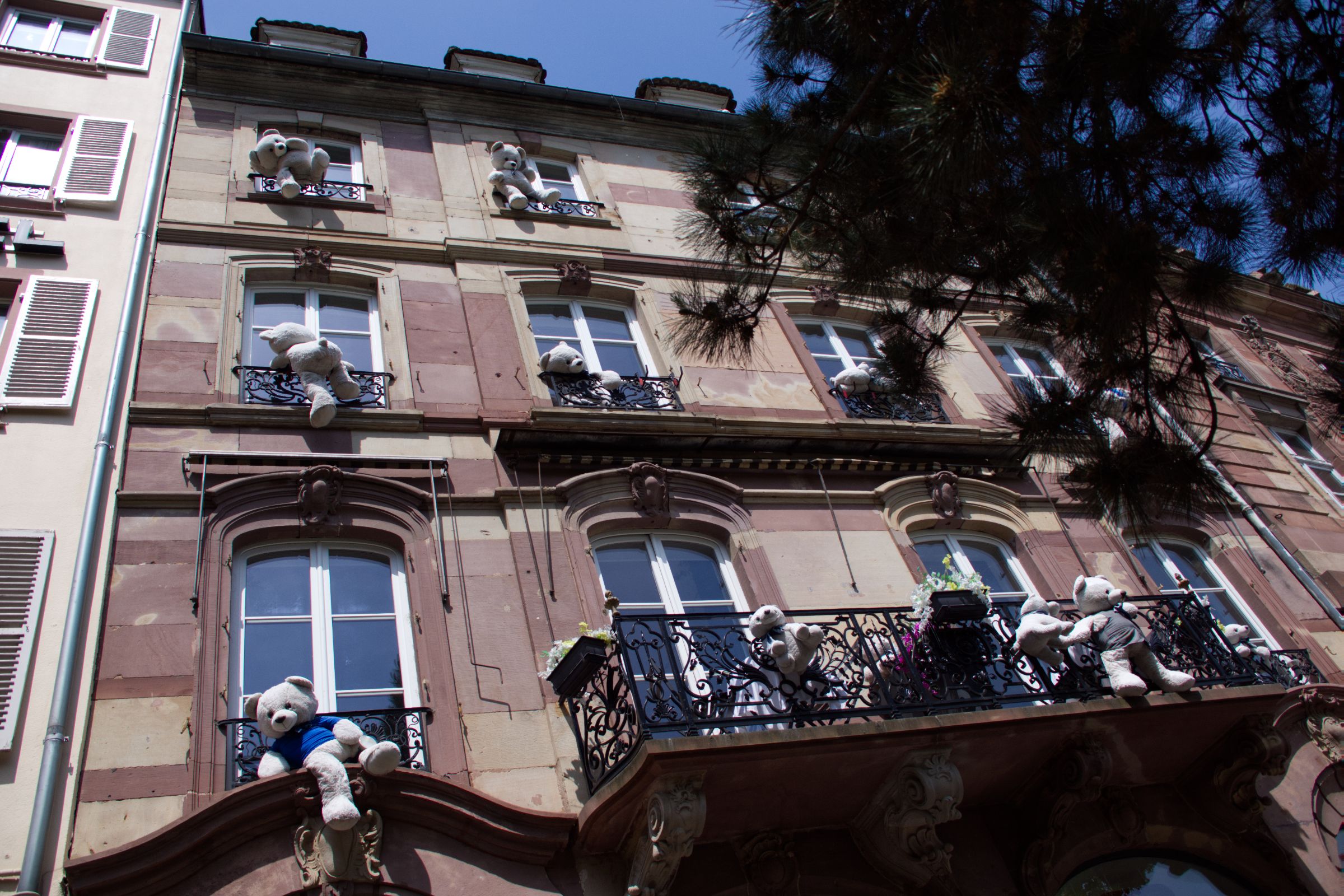 Teddy Haus Strasbourg