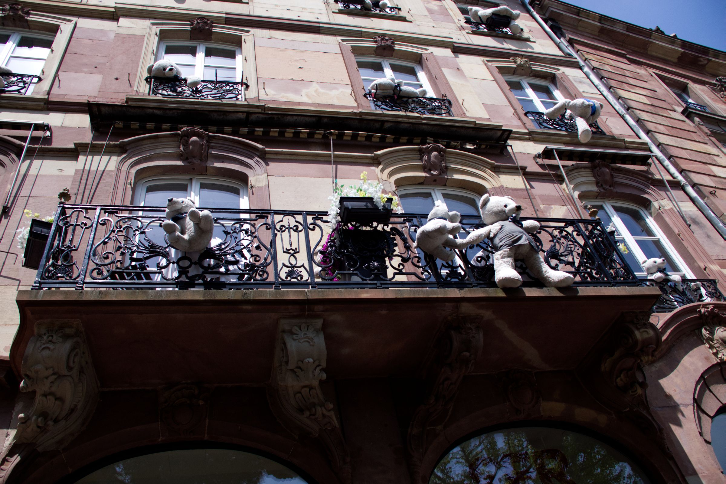 Teddy Haus Strasbourg