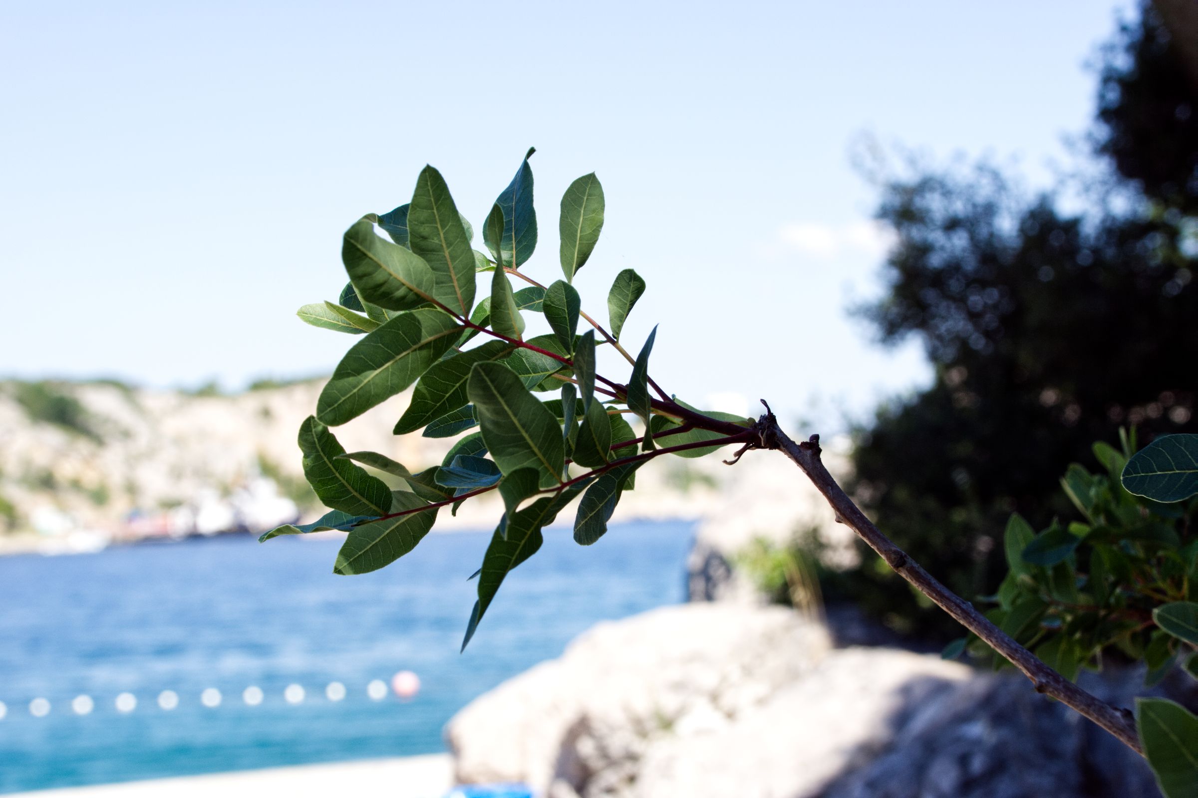Kroatien Insel Krk Omisalj