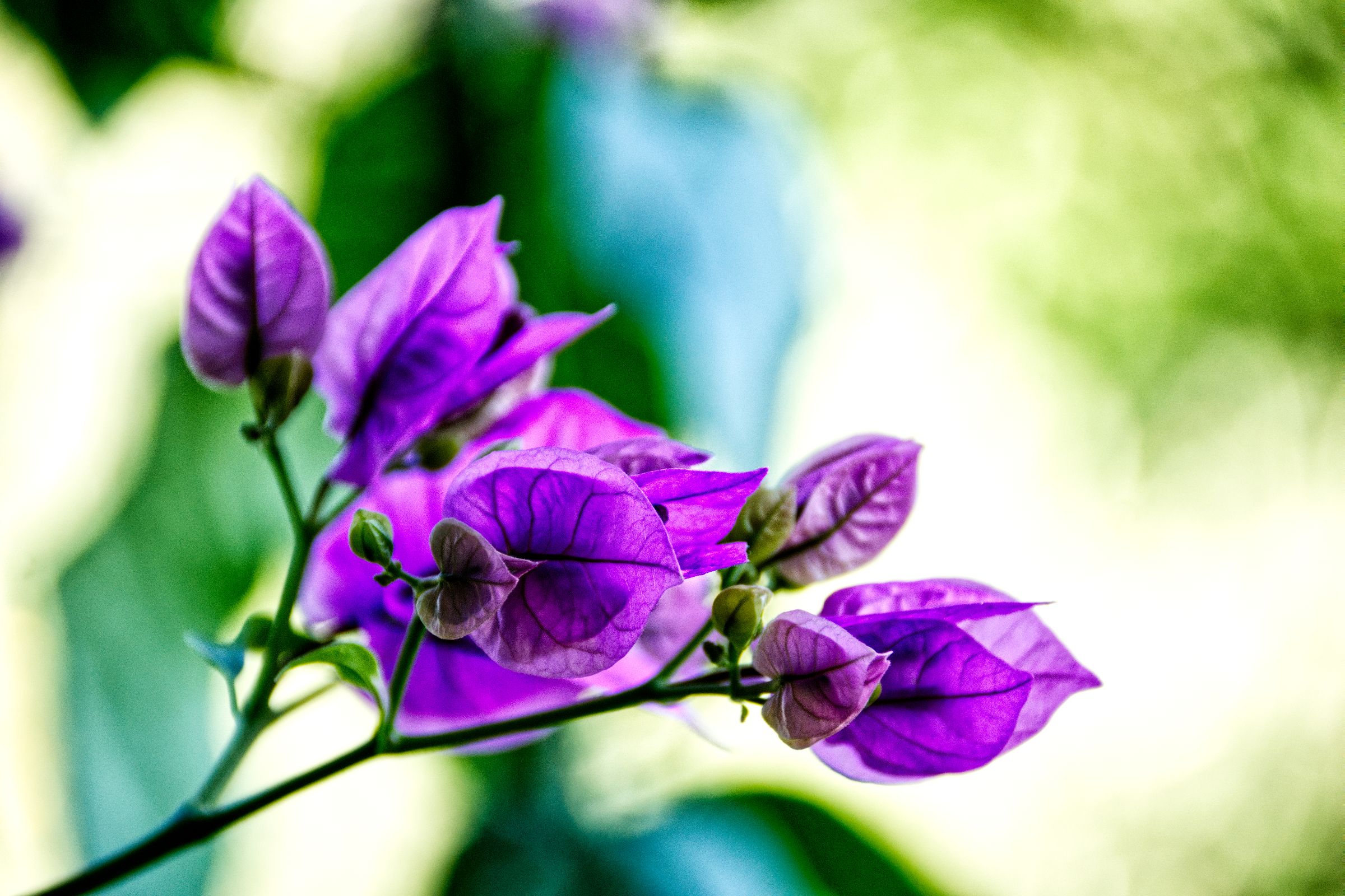 Kroatien Insel Krk Omisalj
