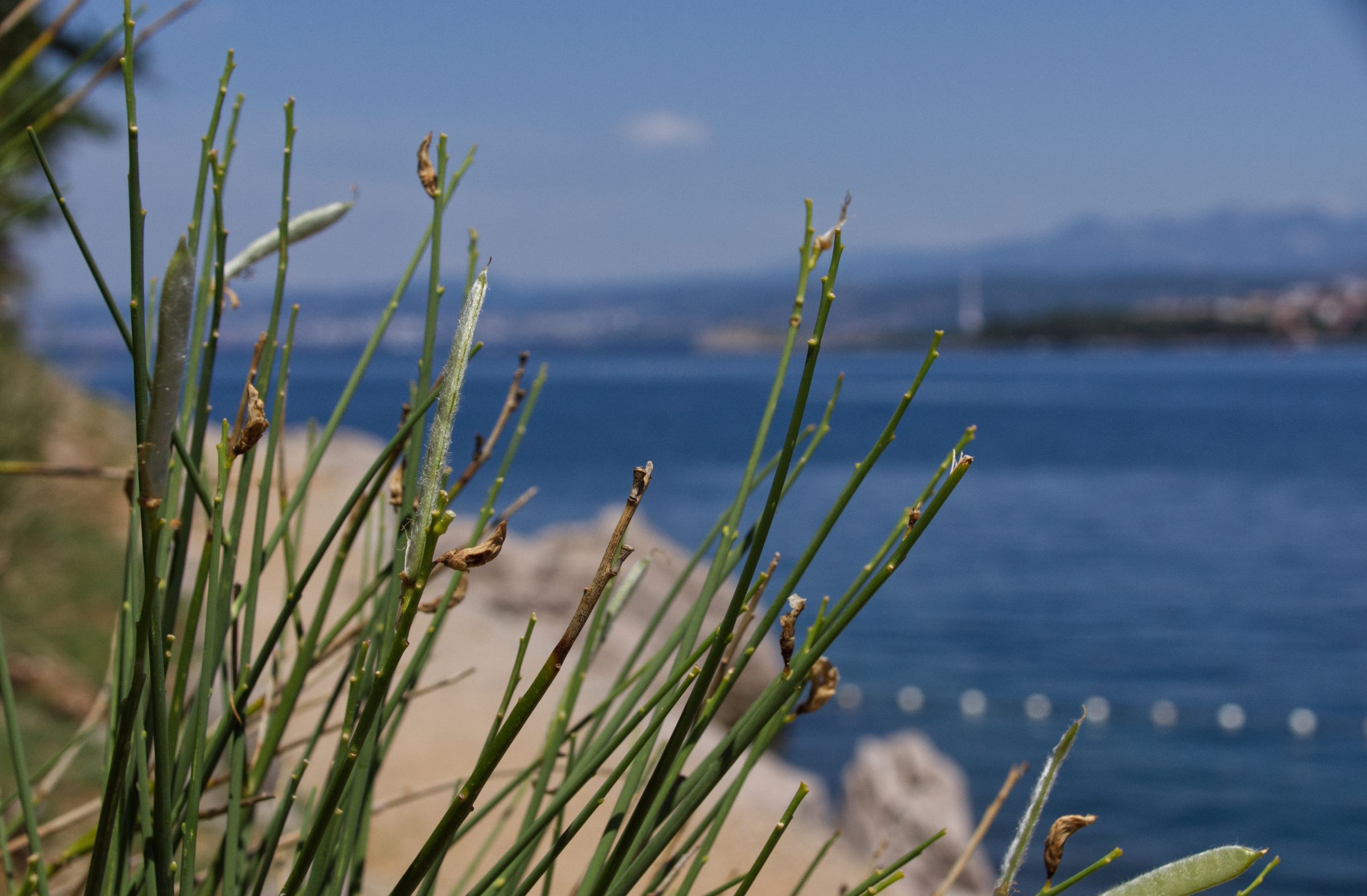 Kroatien Insel Krk Omisalj