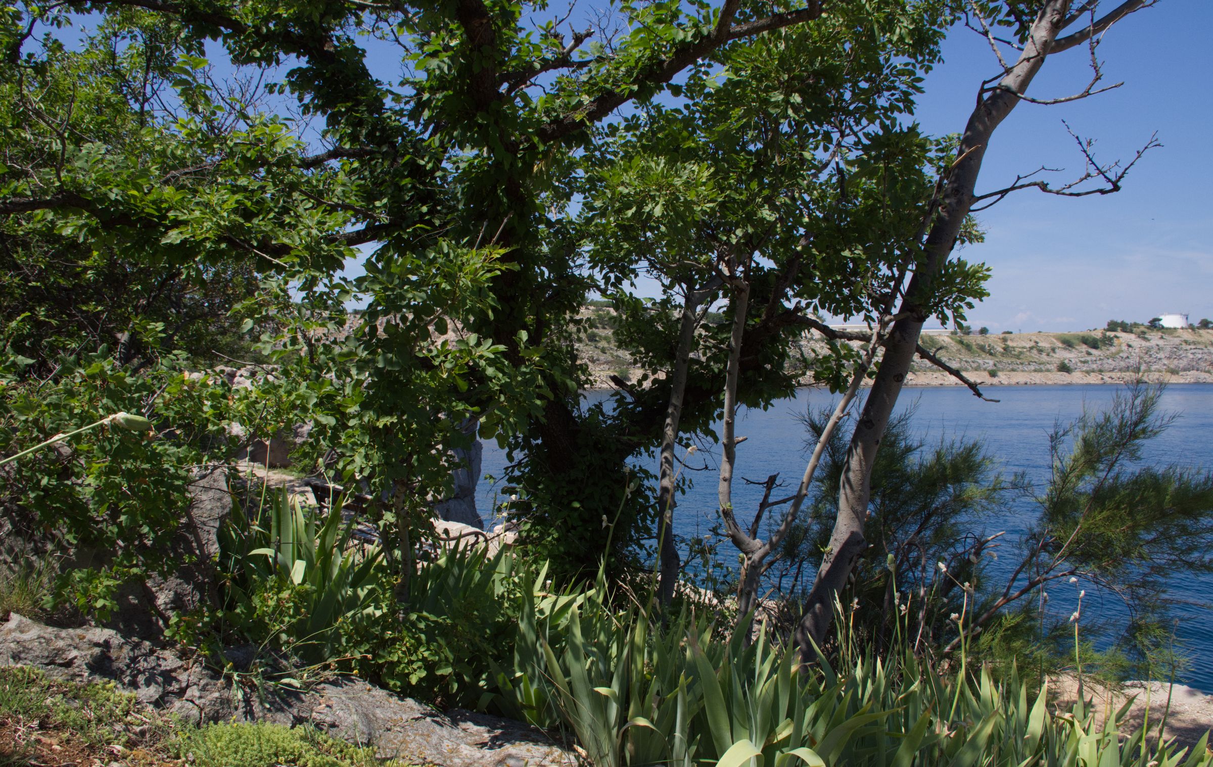 Kroatien Insel Krk Omisalj