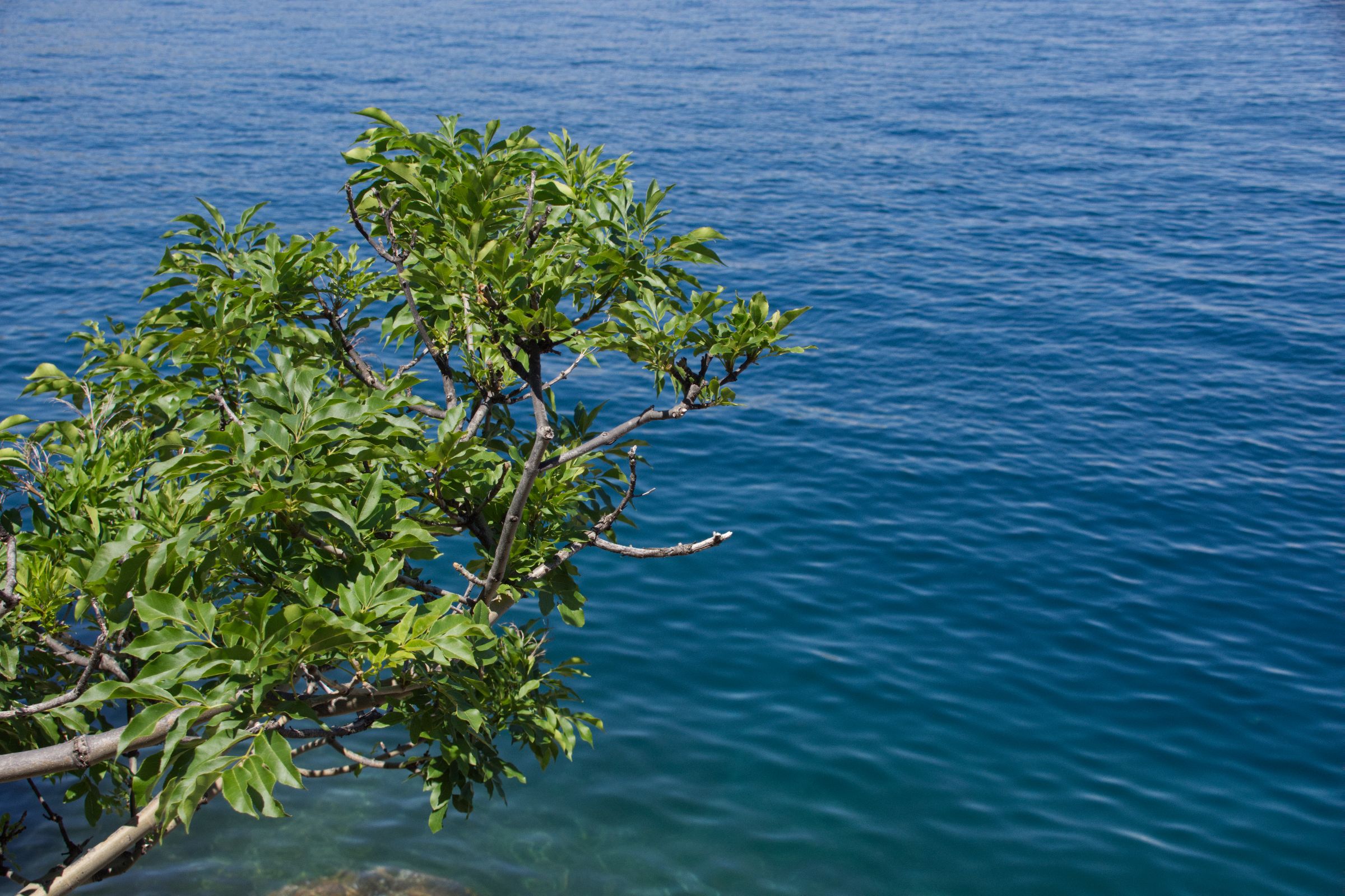 Kroatien Insel Krk Omisalj