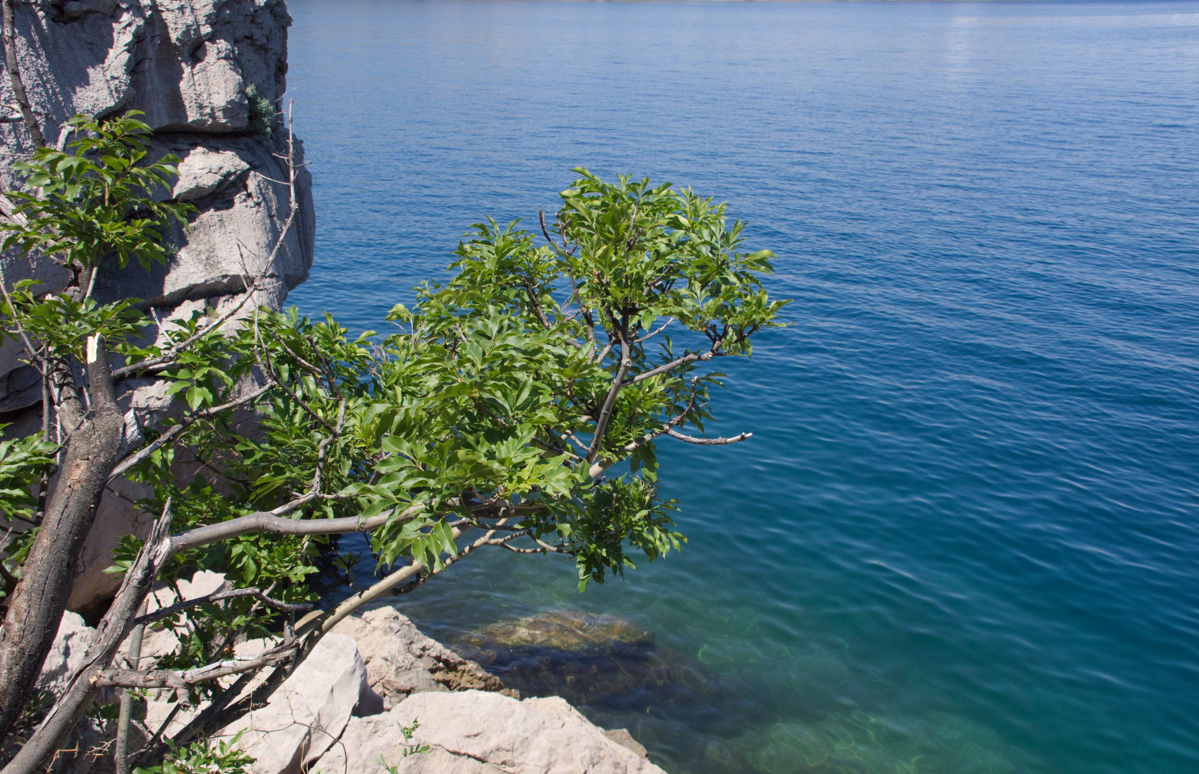 Kroatien Insel Krk Omisalj