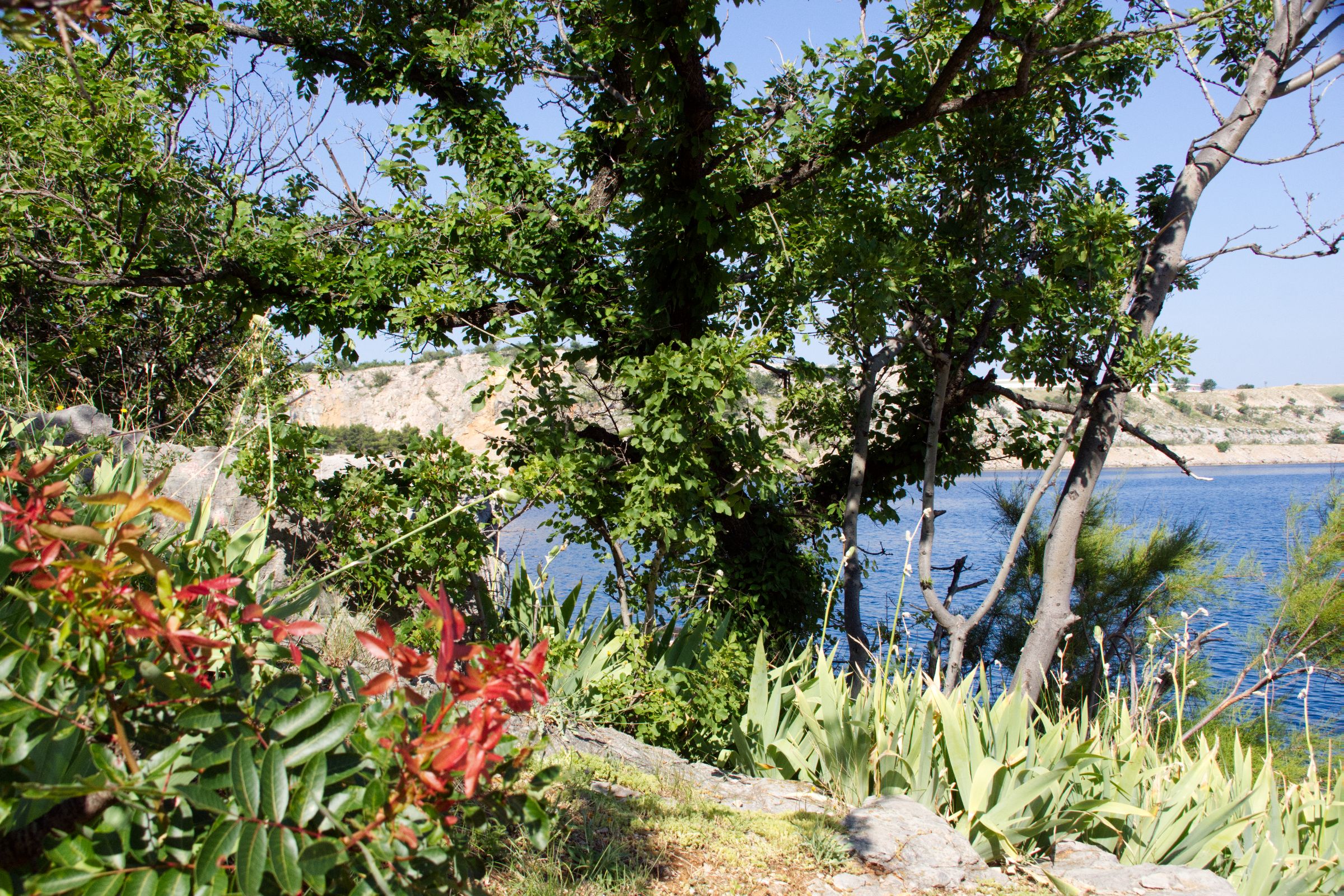 Kroatien Insel Krk Omisalj