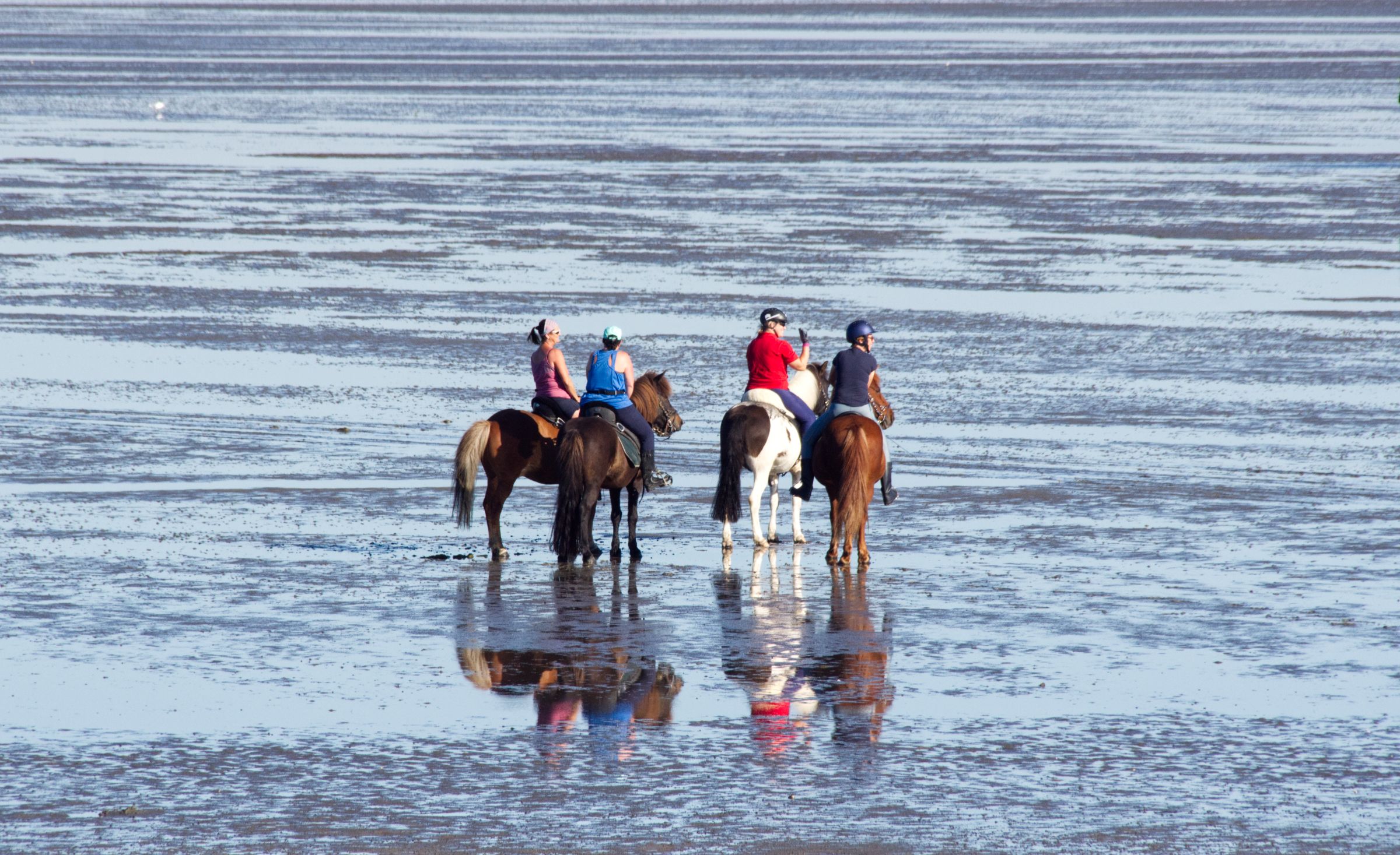 Wattwagenfahrt von Duhnen zur Insel Neuwerk