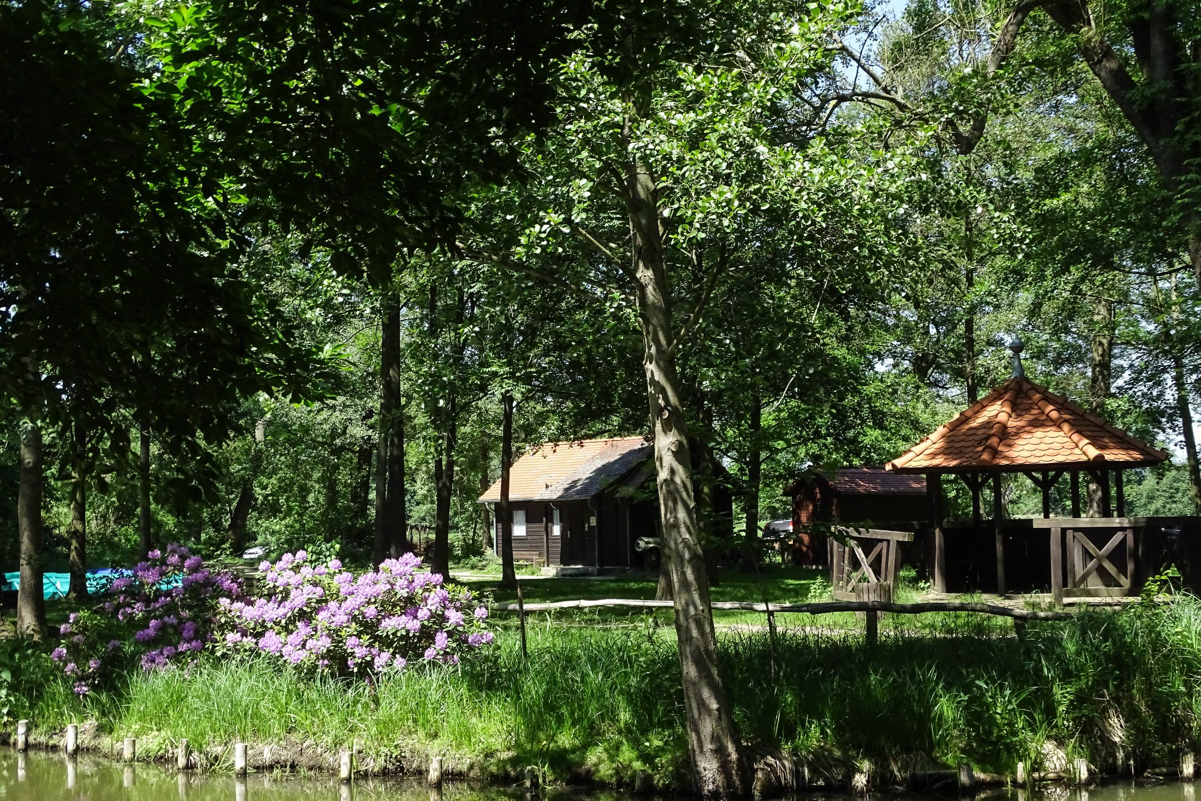 Spreewald in der Lausitz