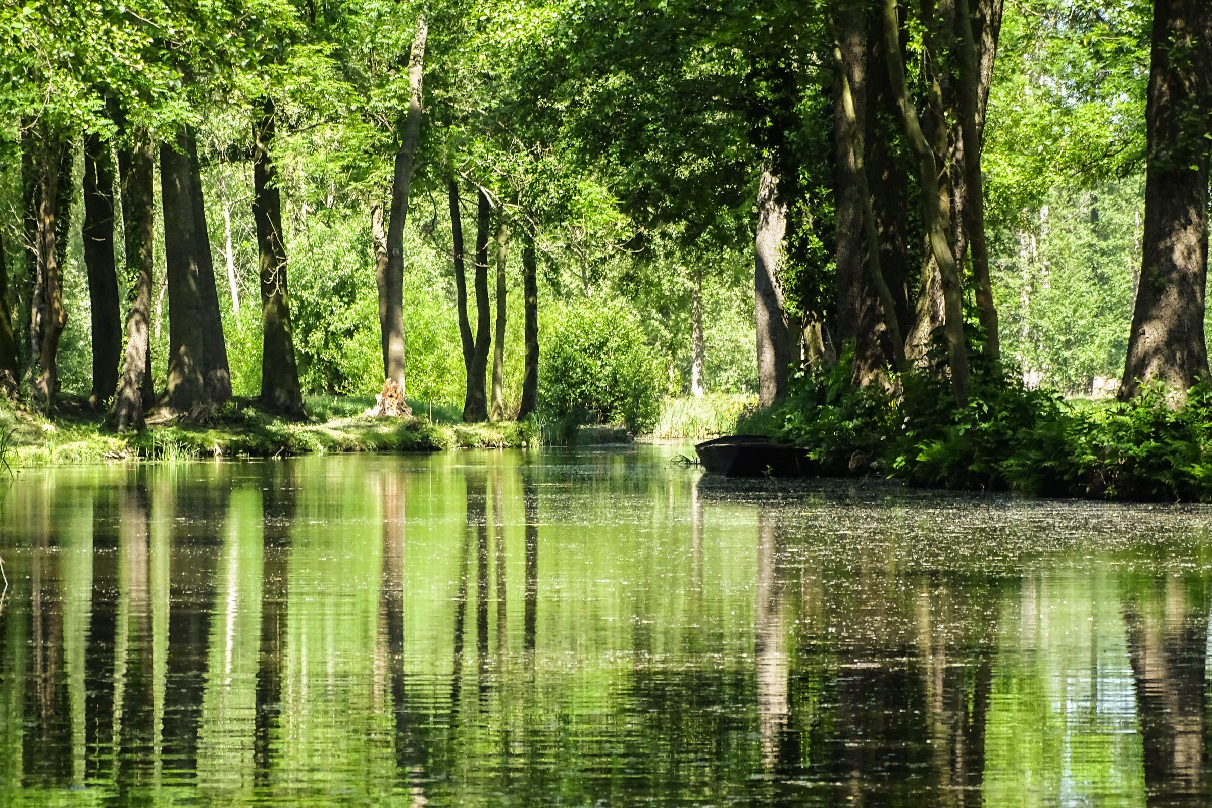 Spreewald in der Lausitz