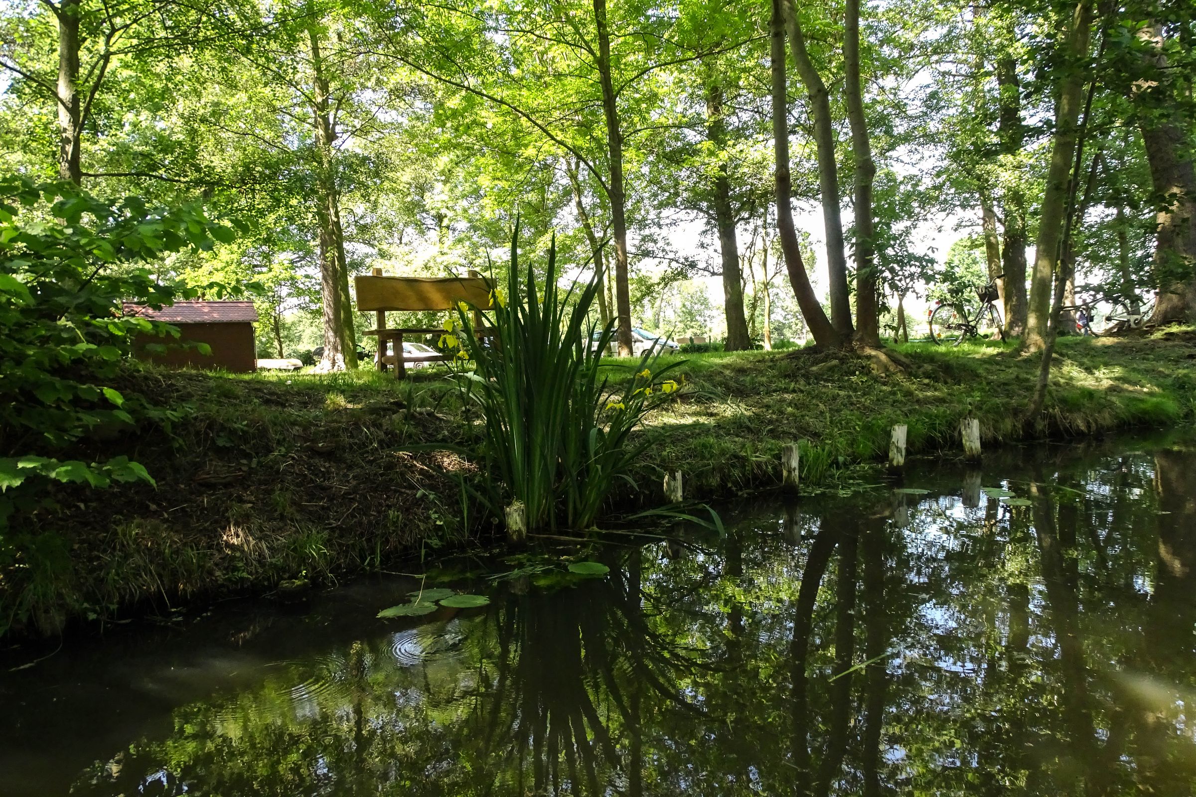 Spreewald in der Lausitz