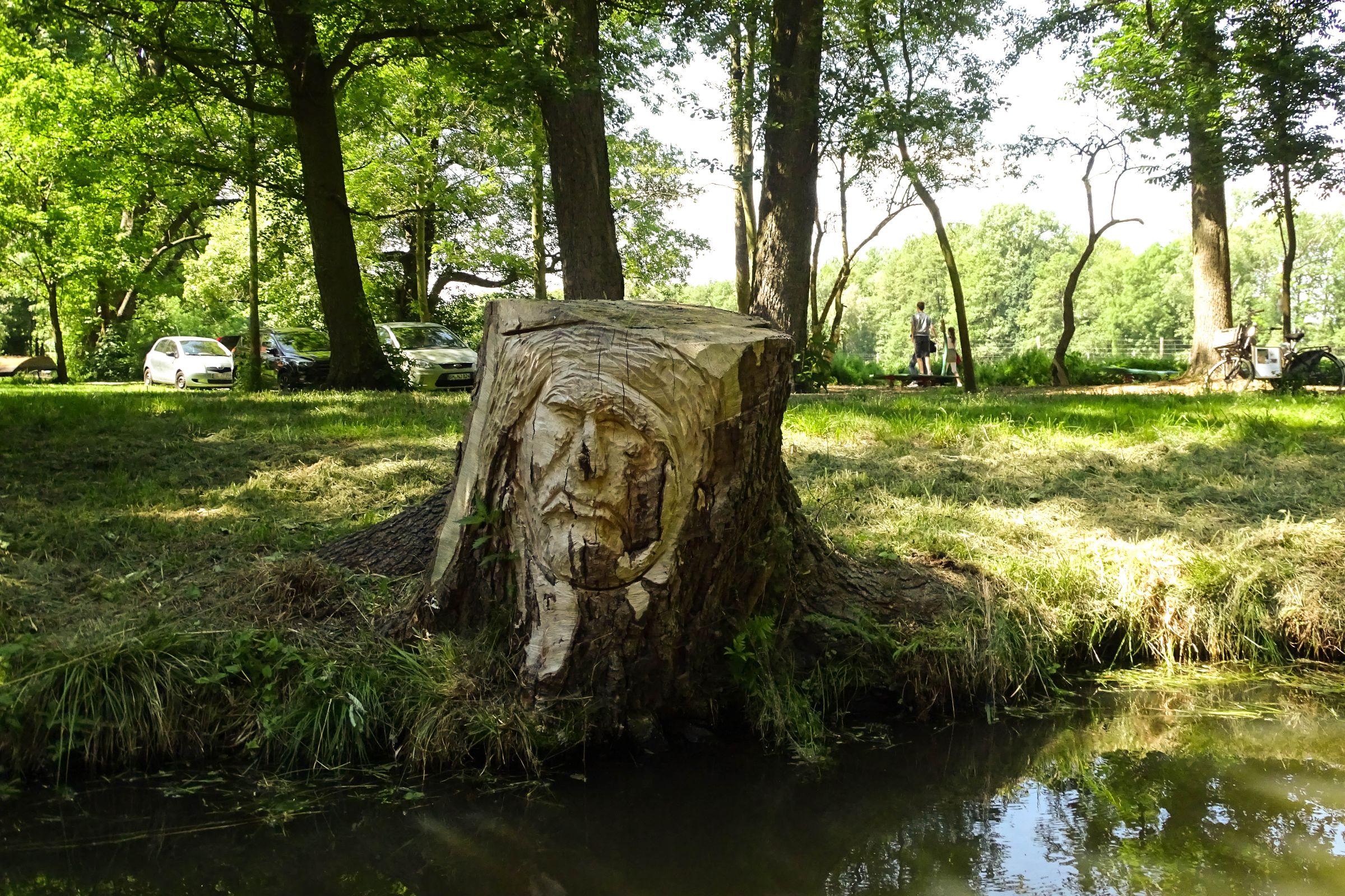 Spreewald in der Lausitz