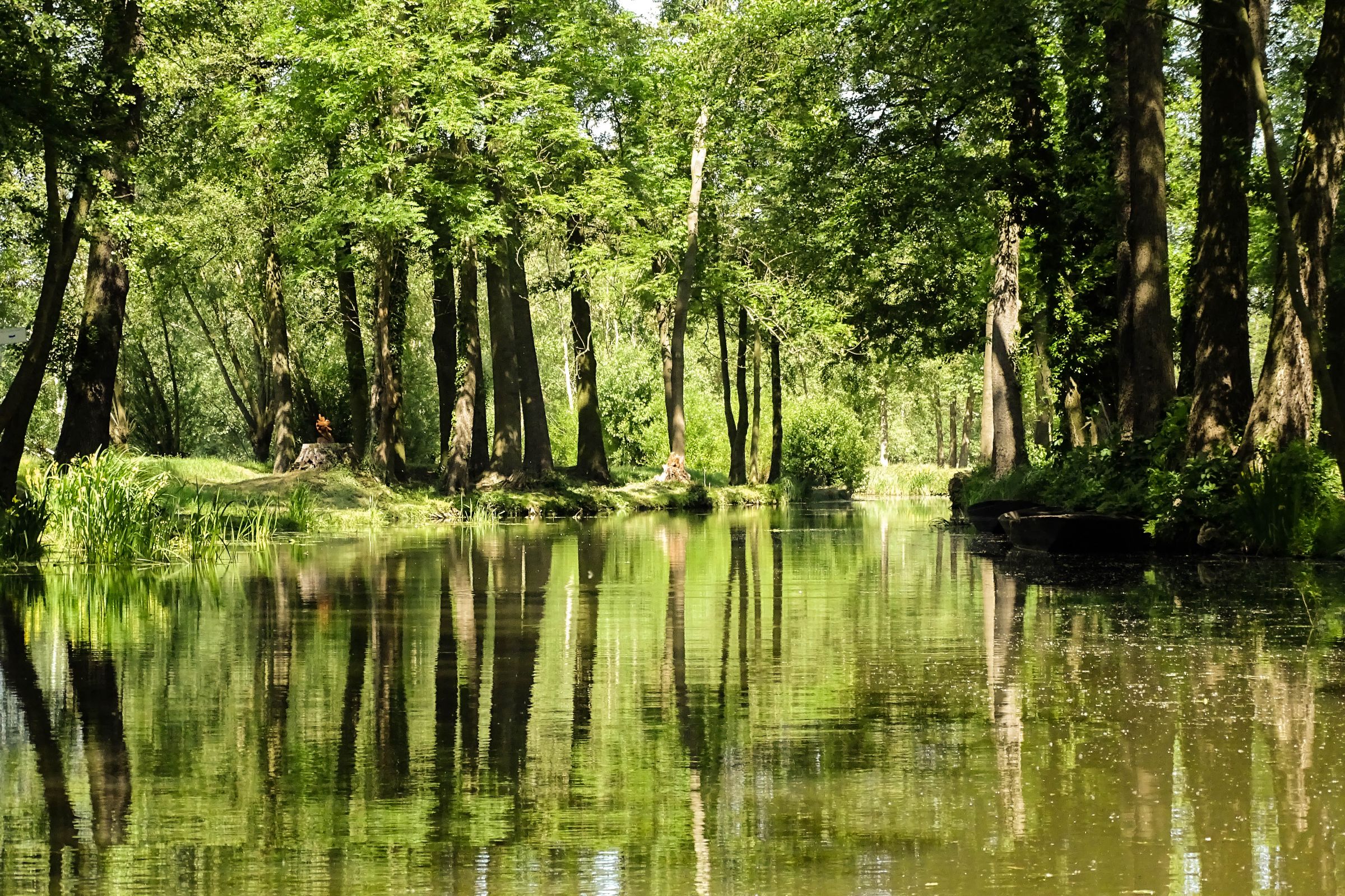 Spreewald in der Lausitz