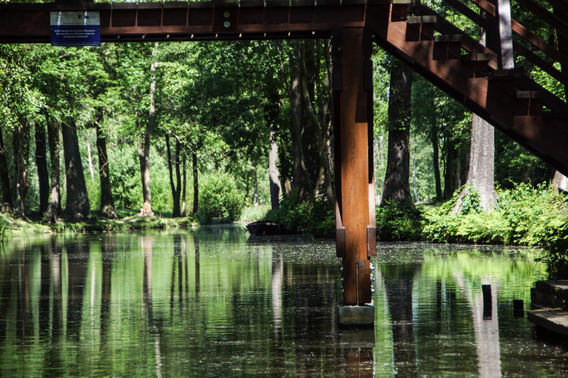 Spreewald in der Lausitz