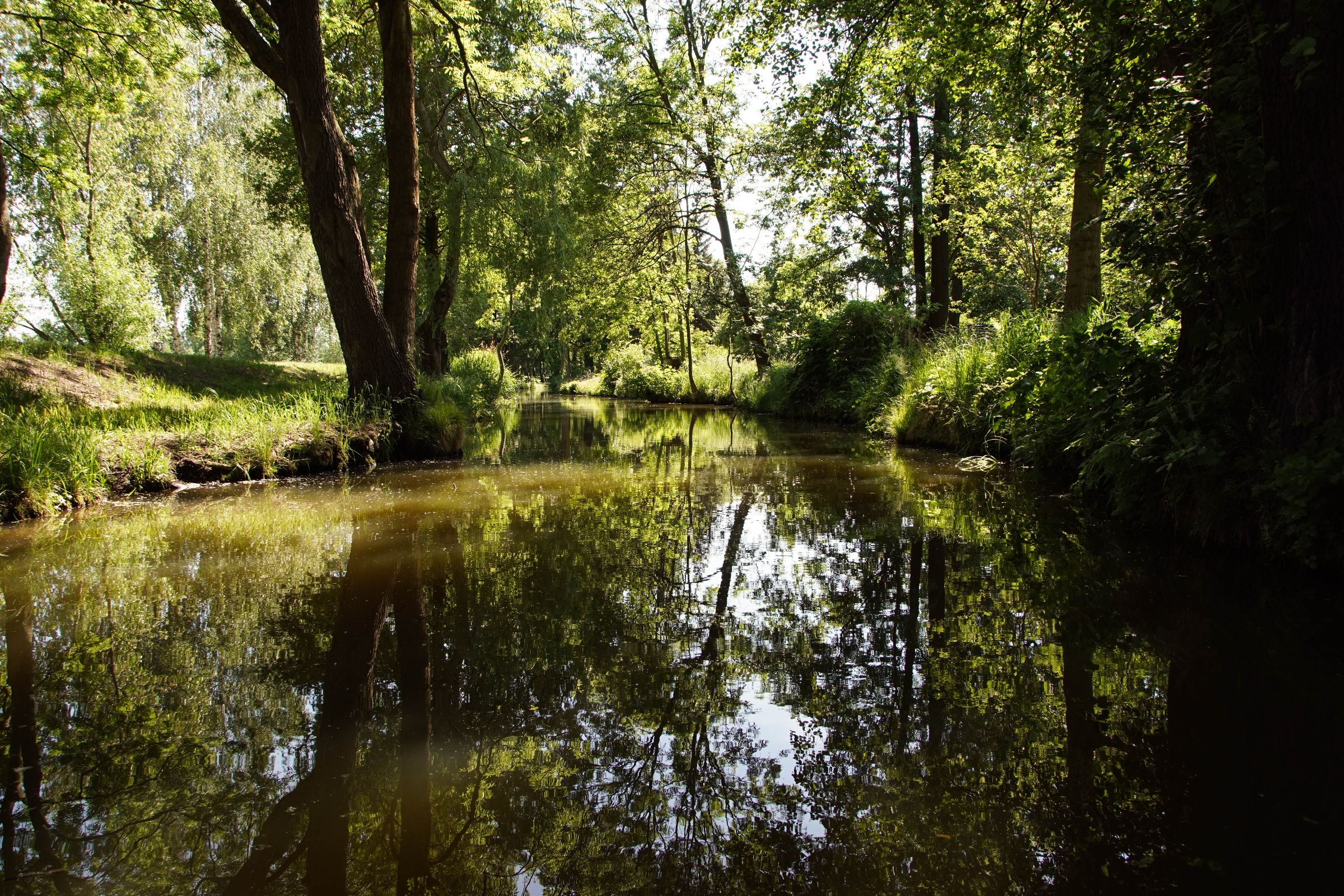 Spreewald in der Lausitz