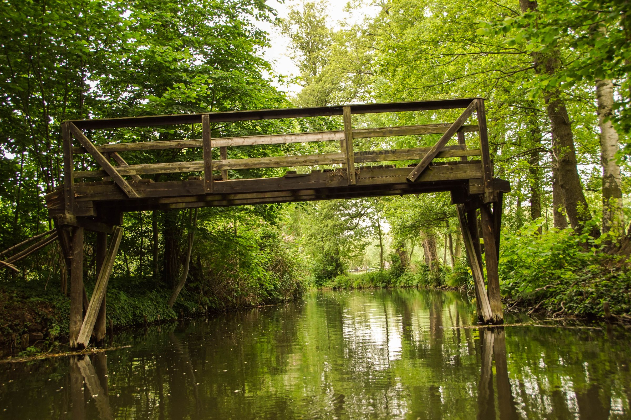 Spreewald in der Lausitz