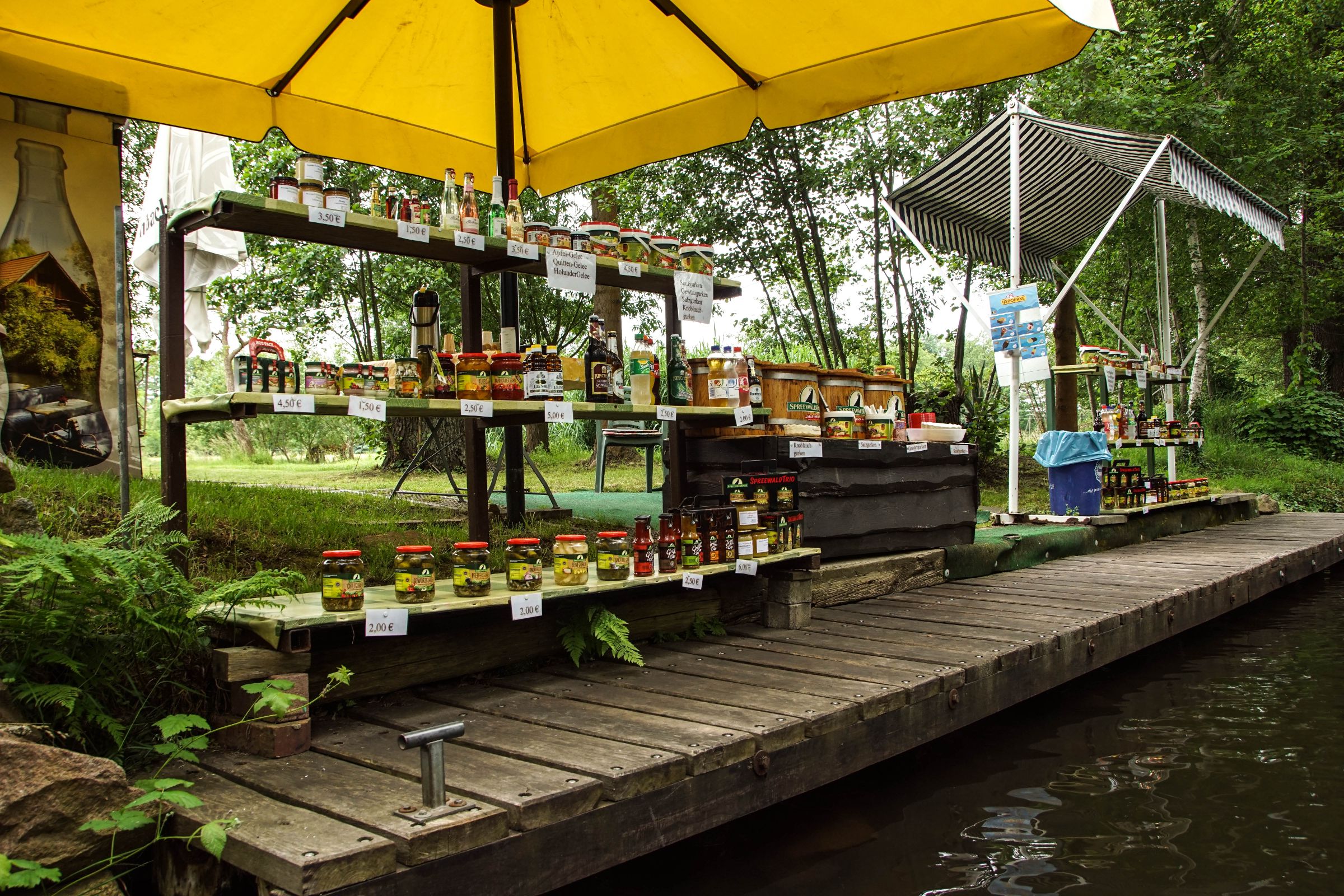 Spreewald in der Lausitz