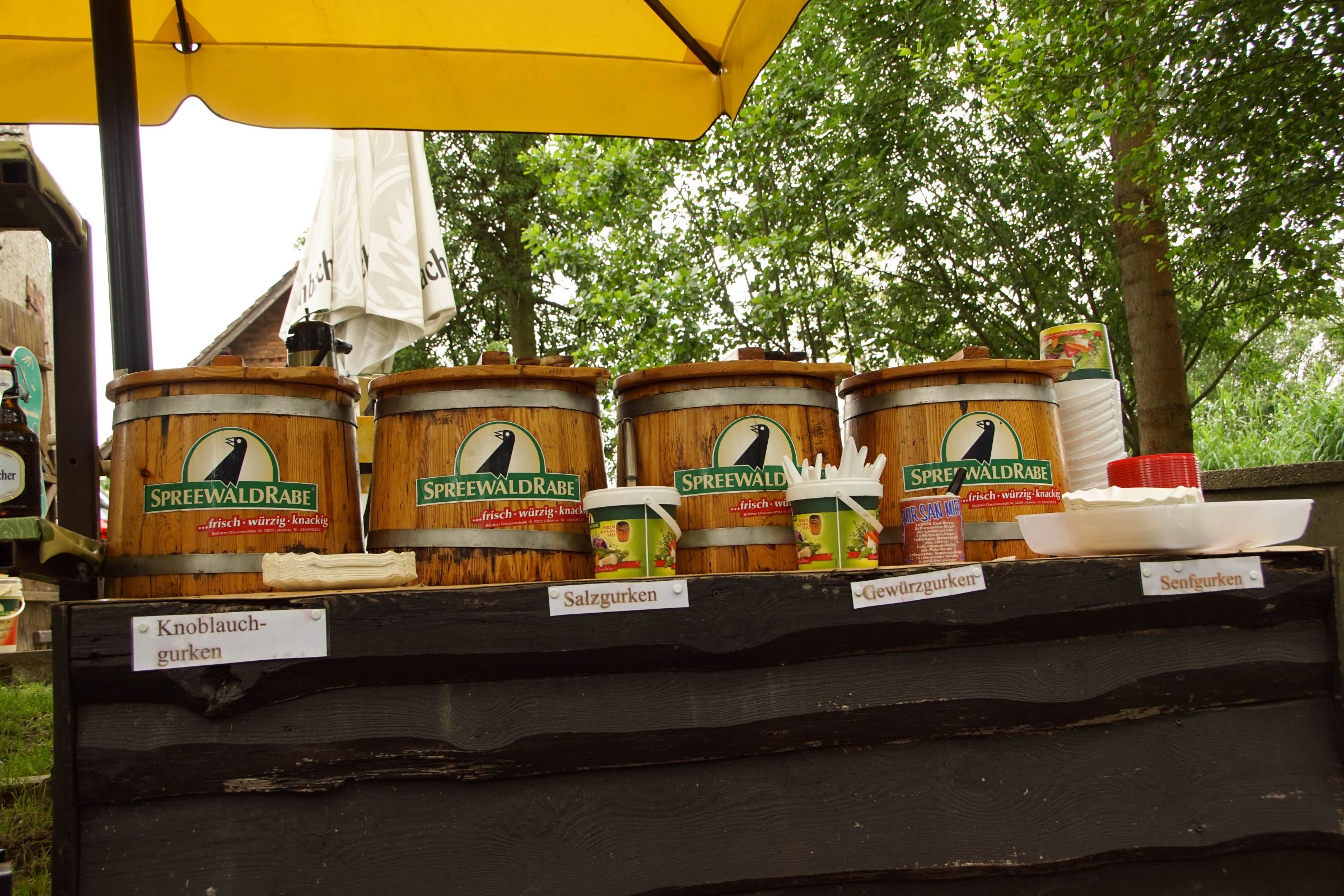 Spreewald in der Lausitz