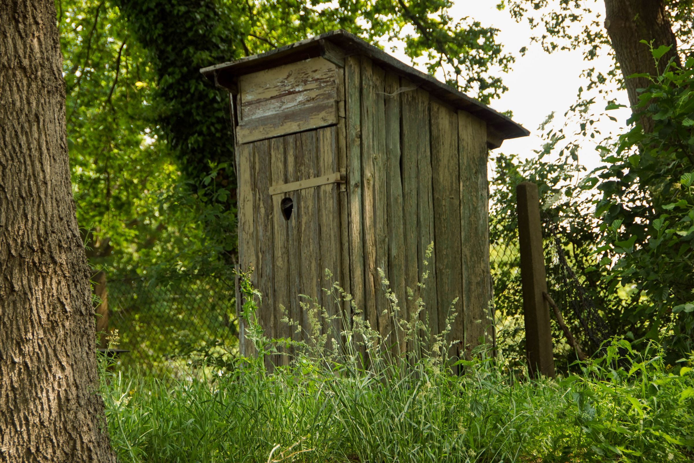Spreewald in der Lausitz