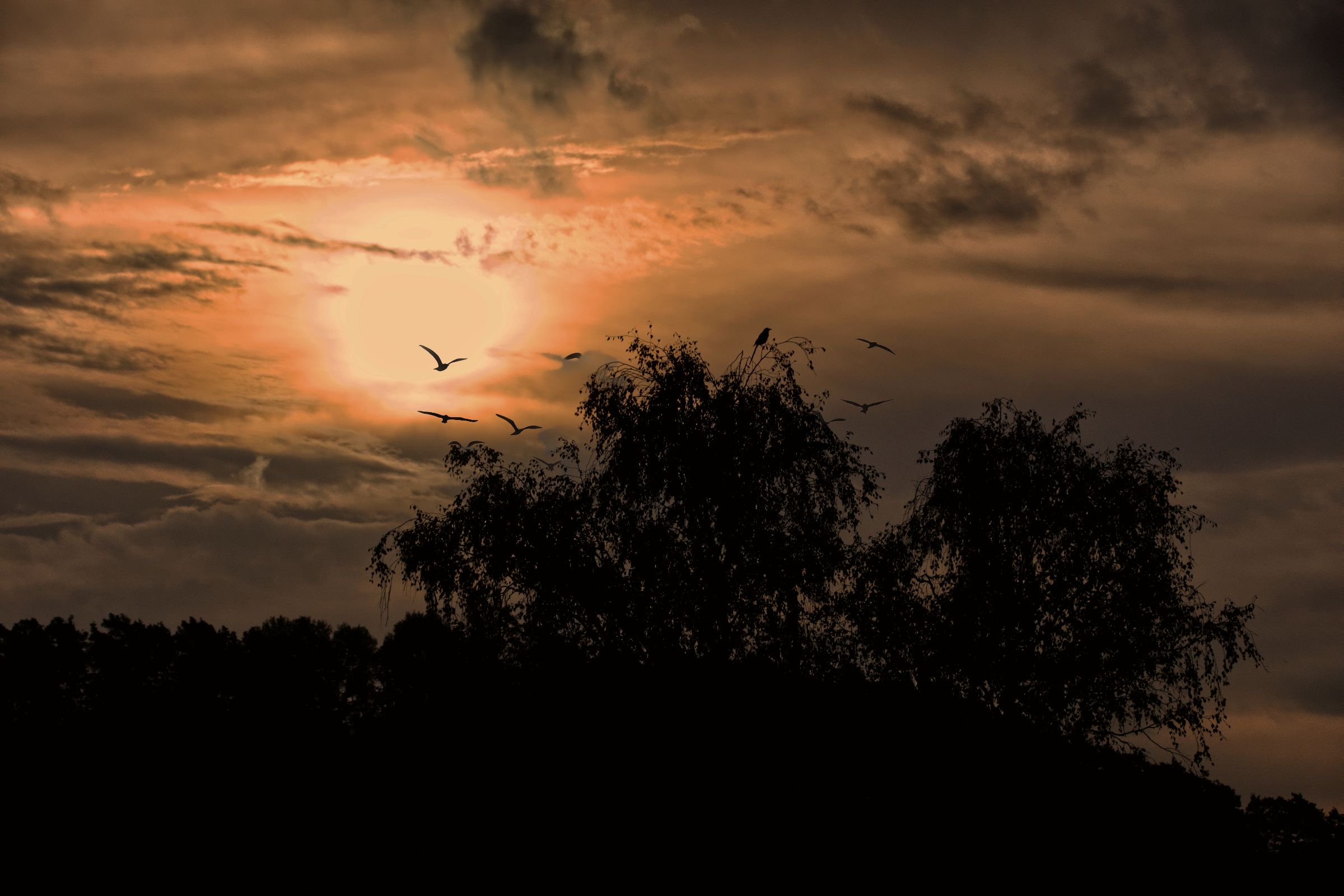 Sonnenaufgang Altmorschen