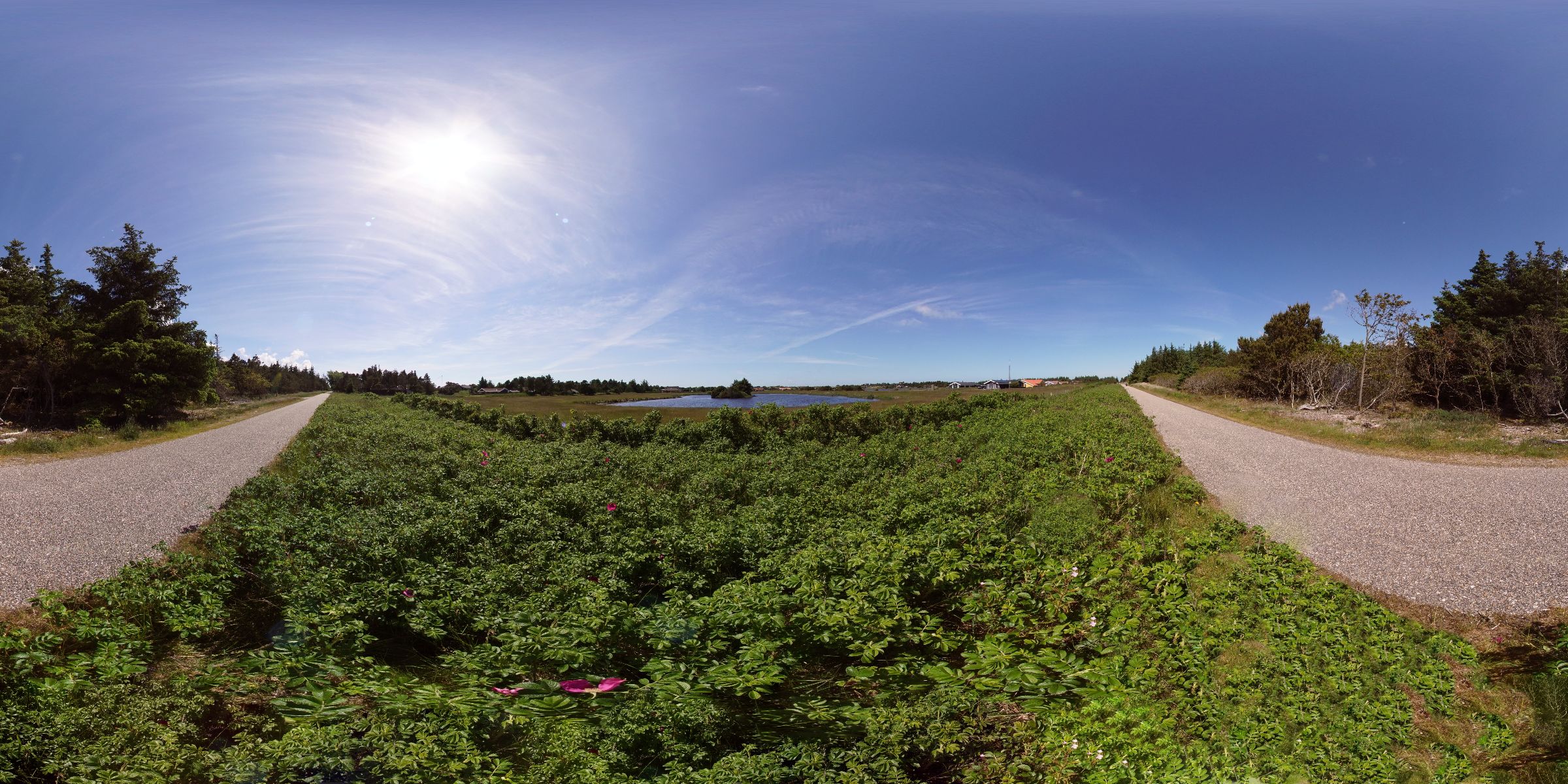 Vejers Strand Fischteich