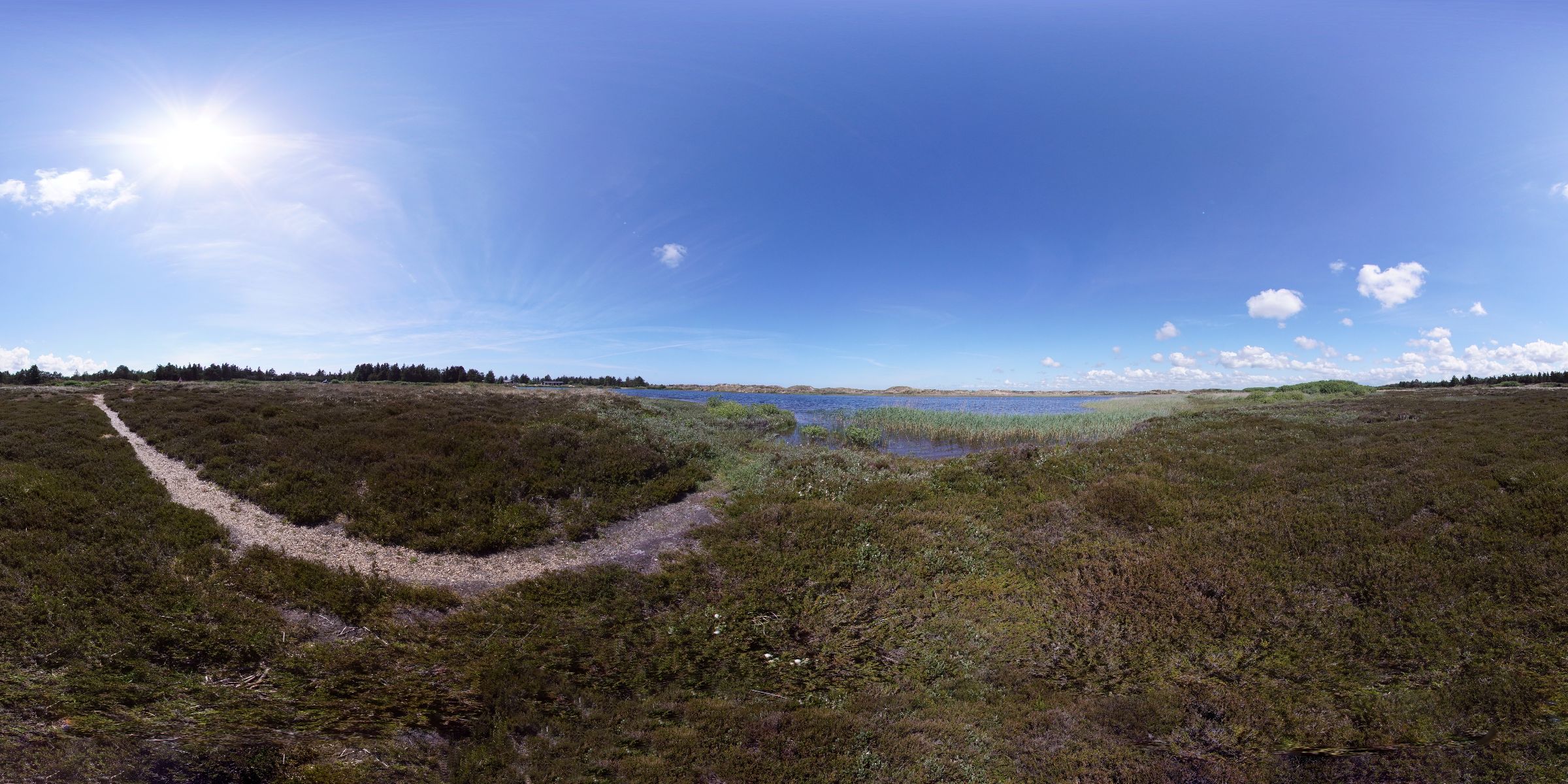 Vejers Strand Fischteich