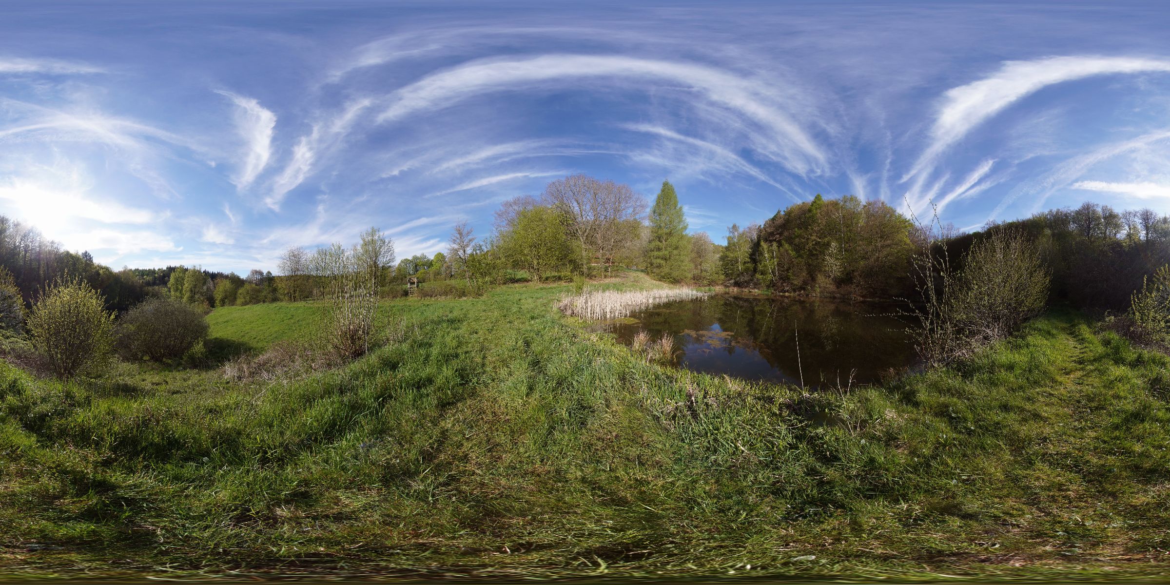 09.05.2021 Fischteich 2 Altmorschen