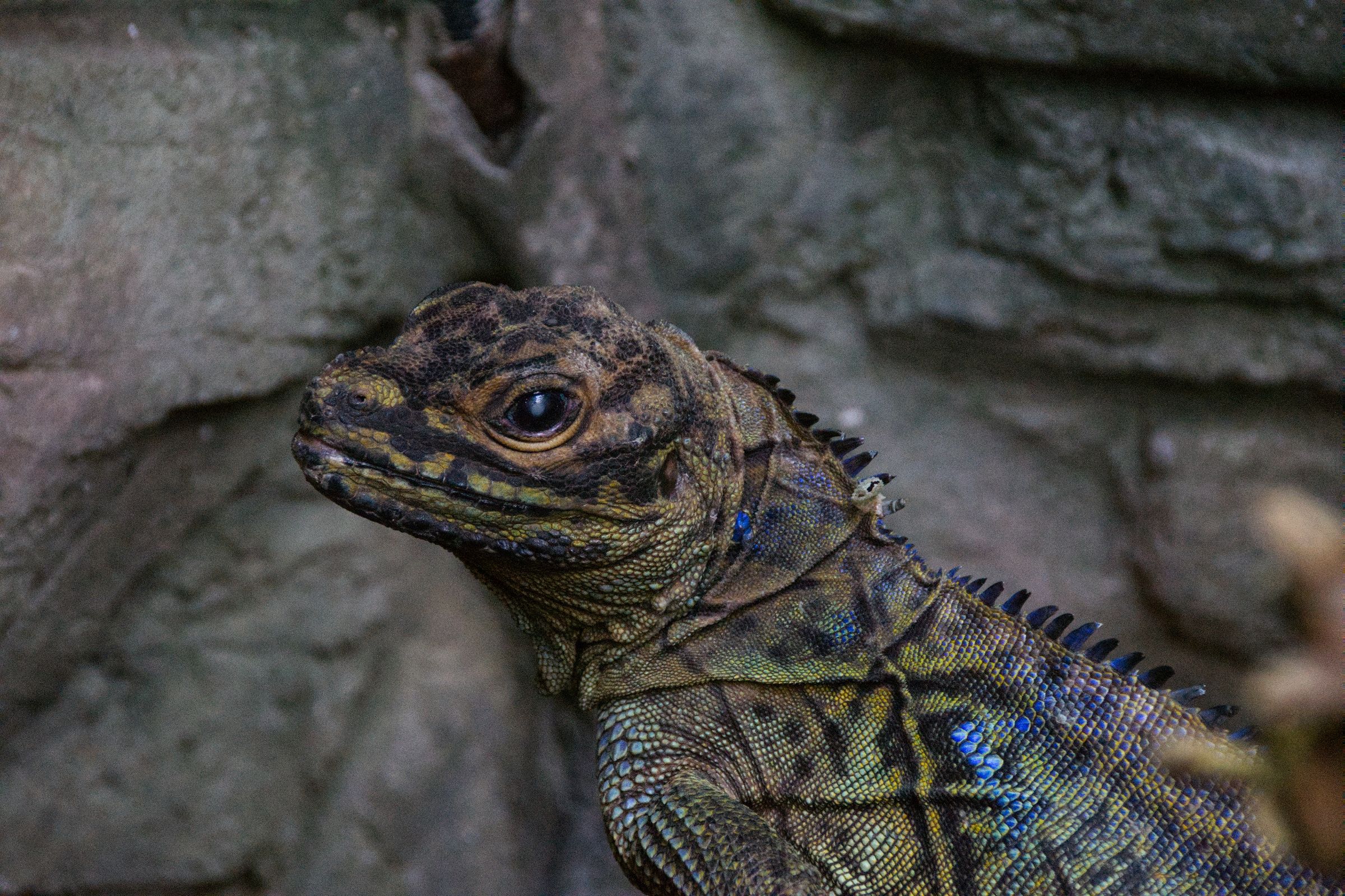 Tropen-Aquarium Hagenbeck Hamburg
