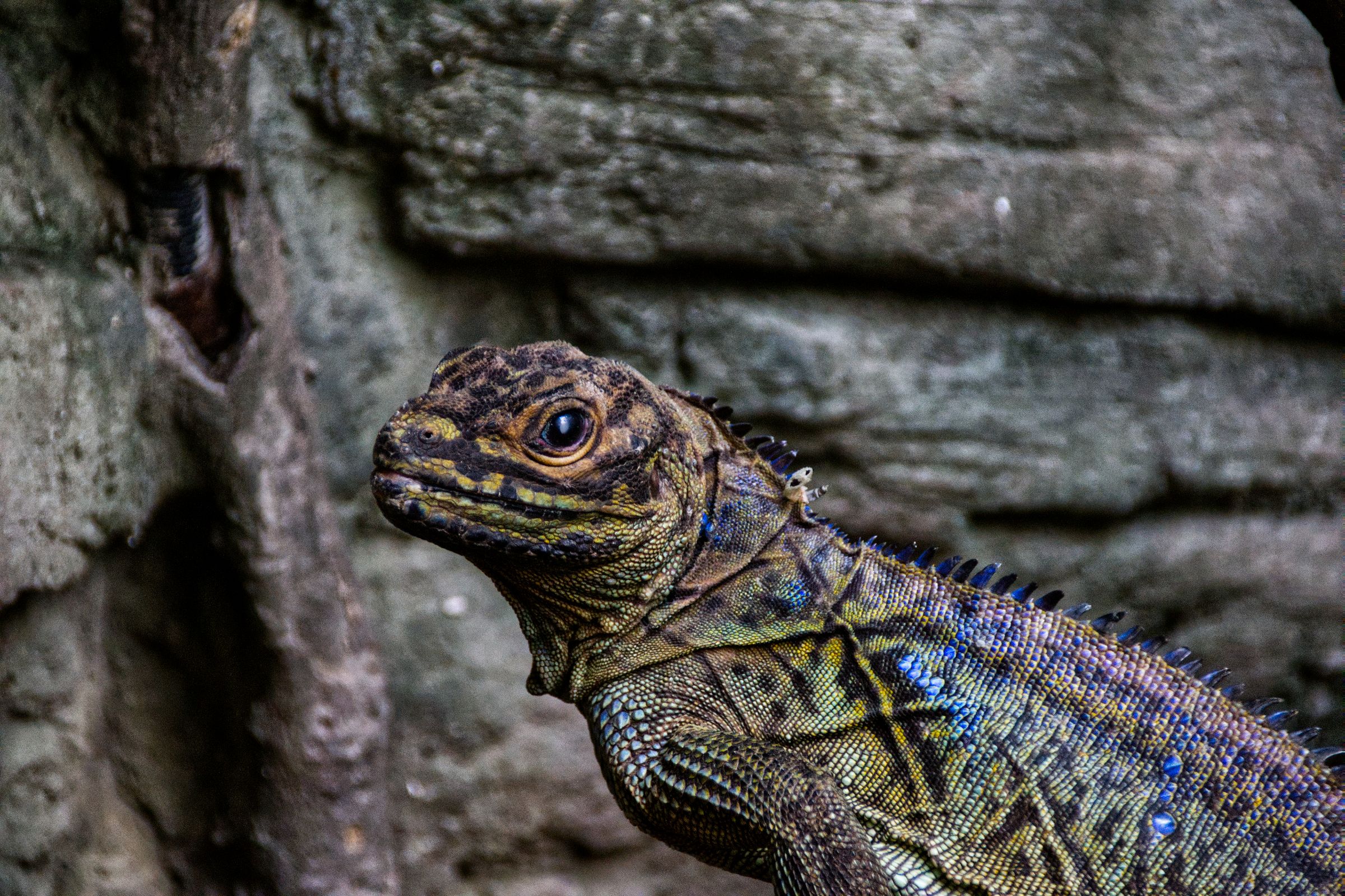 Tropen-Aquarium Hagenbeck Hamburg