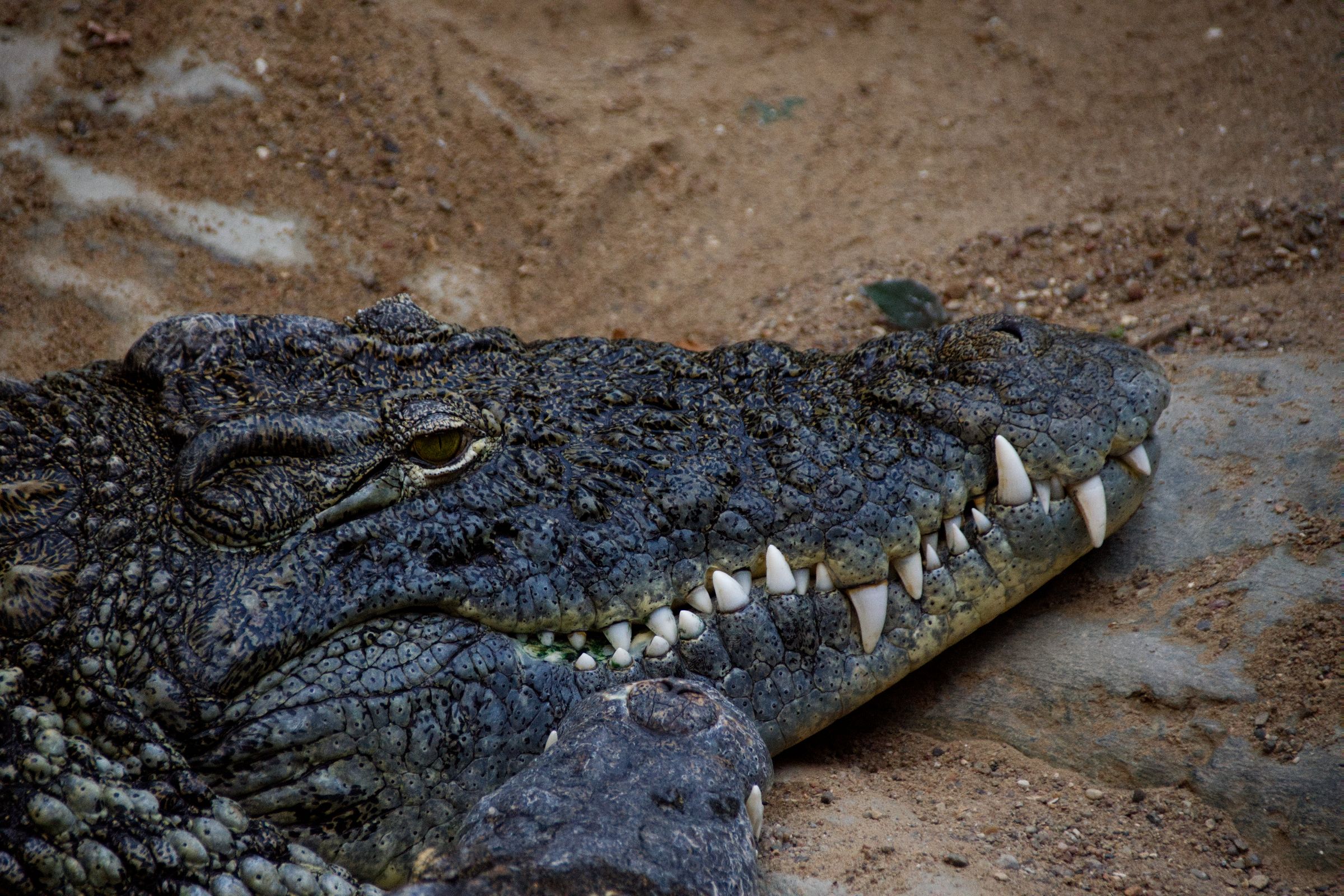 Tropen-Aquarium Hagenbeck Hamburg