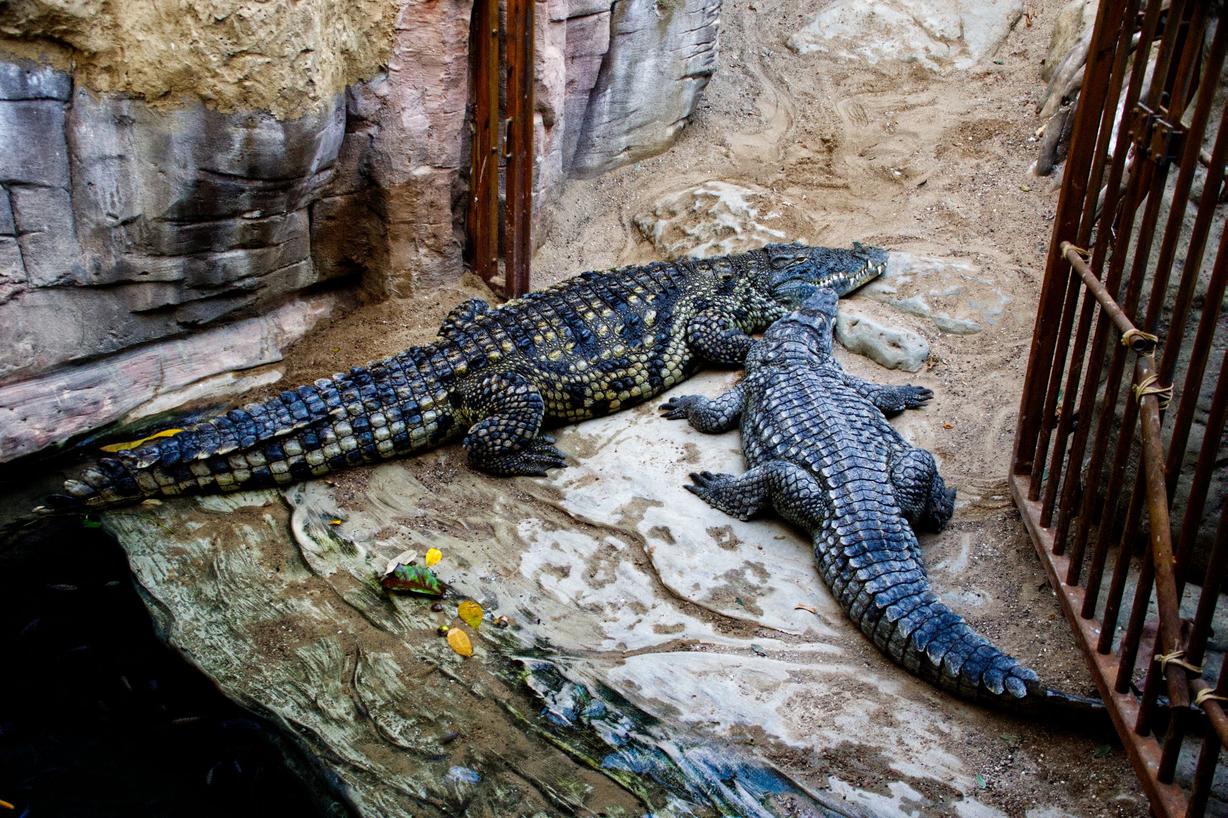 Tropen-Aquarium Hagenbeck Hamburg