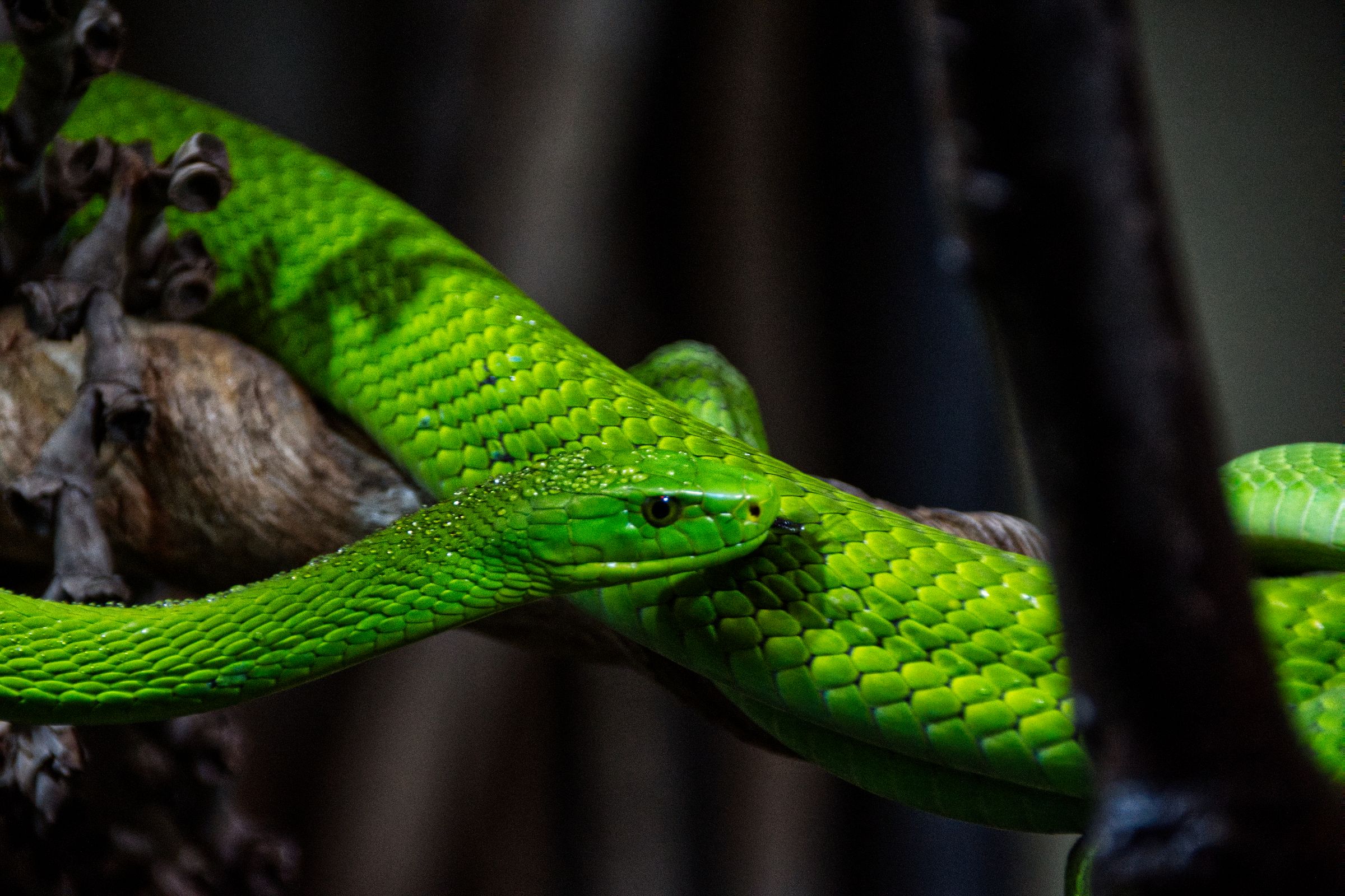 Tropen-Aquarium Hagenbeck Hamburg