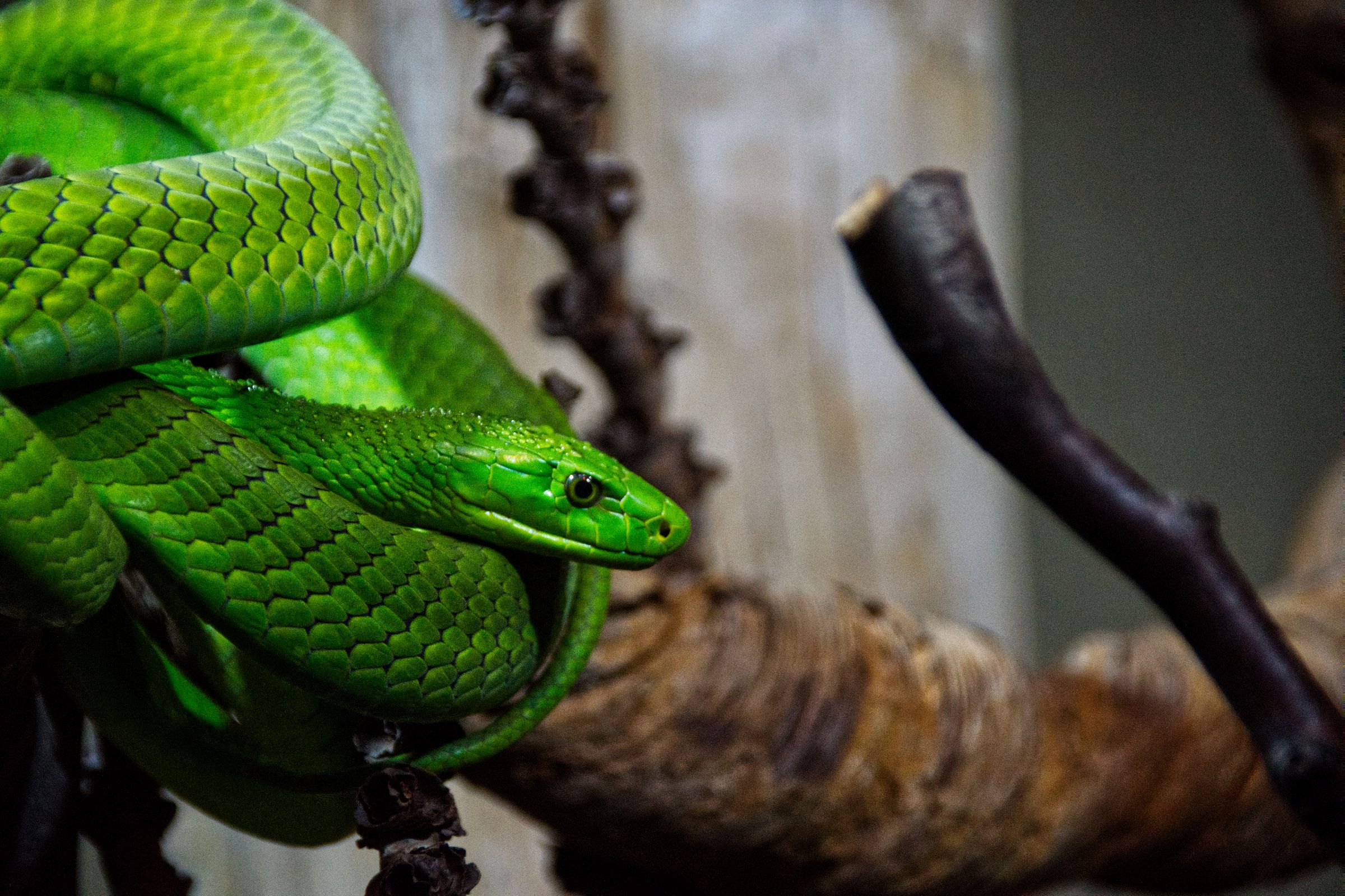 Tropen-Aquarium Hagenbeck Hamburg
