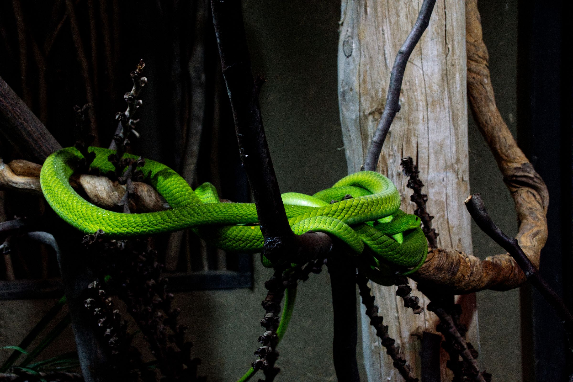 Tropen-Aquarium Hagenbeck Hamburg