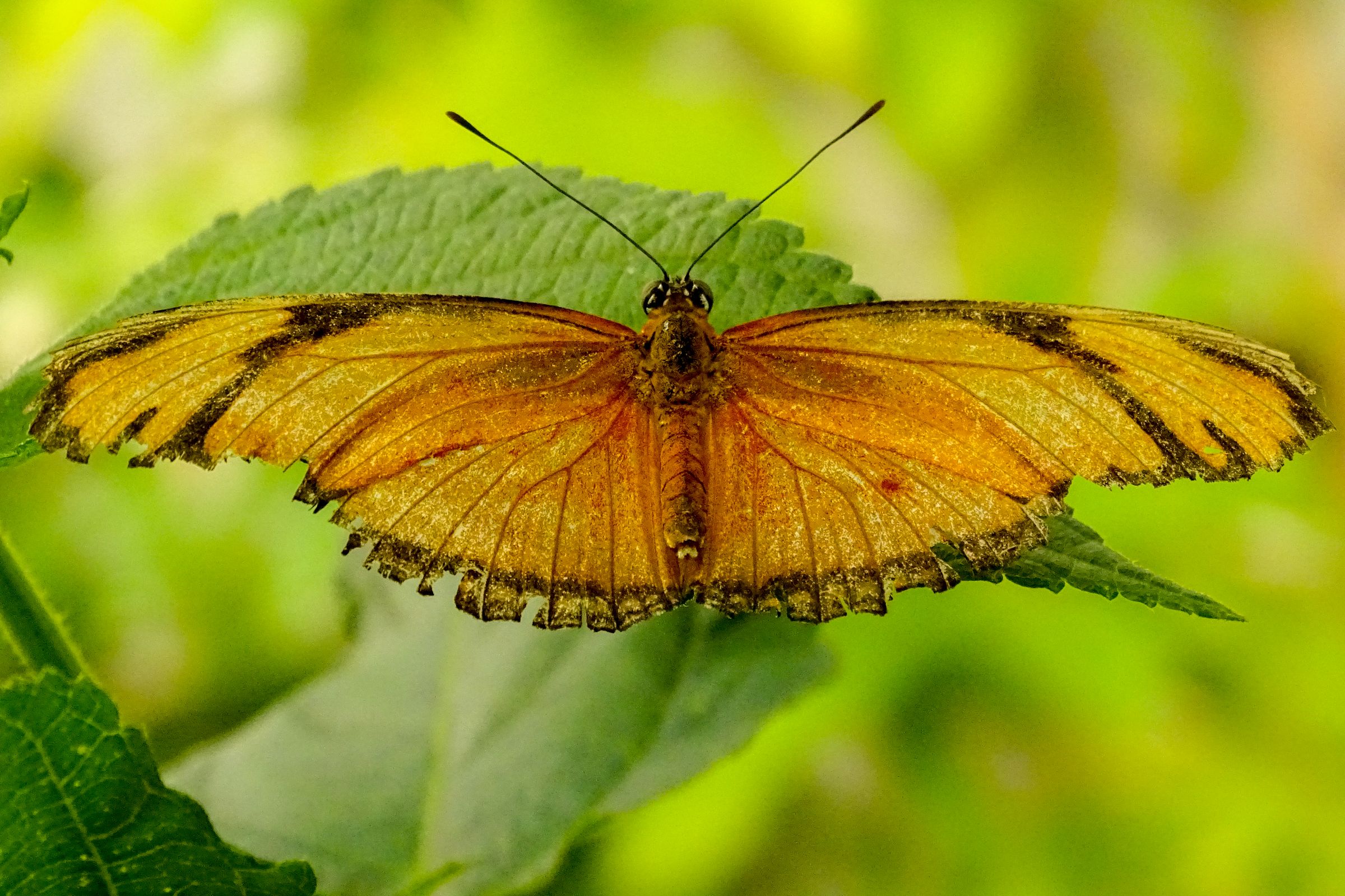 Botanischer Garten Marburg