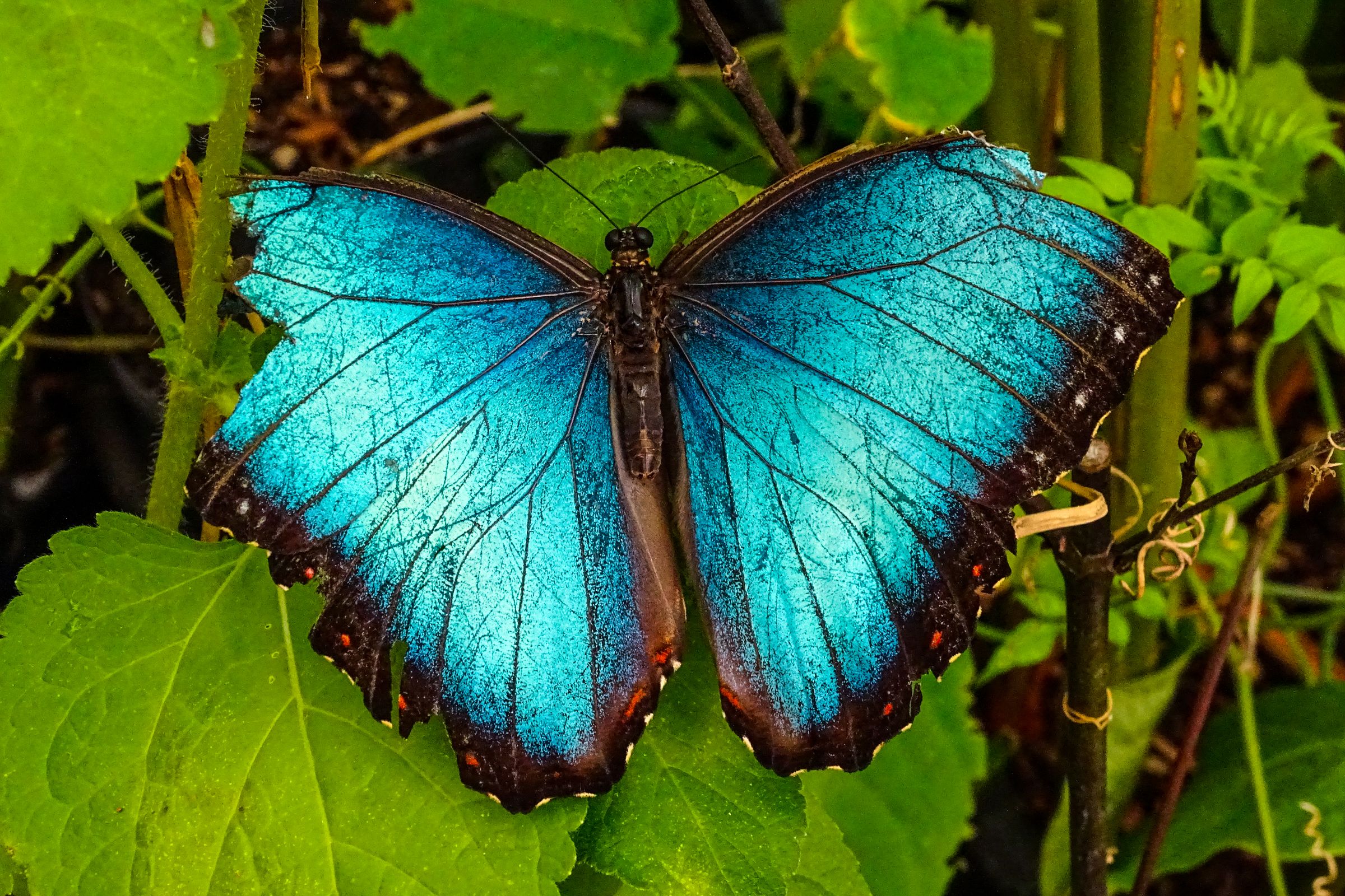 Botanischer Garten Marburg