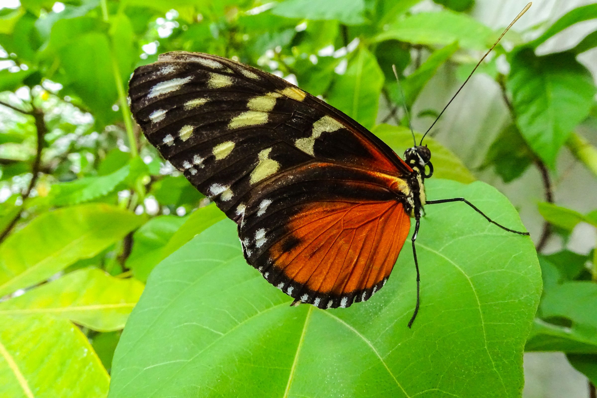 Botanischer Garten Marburg