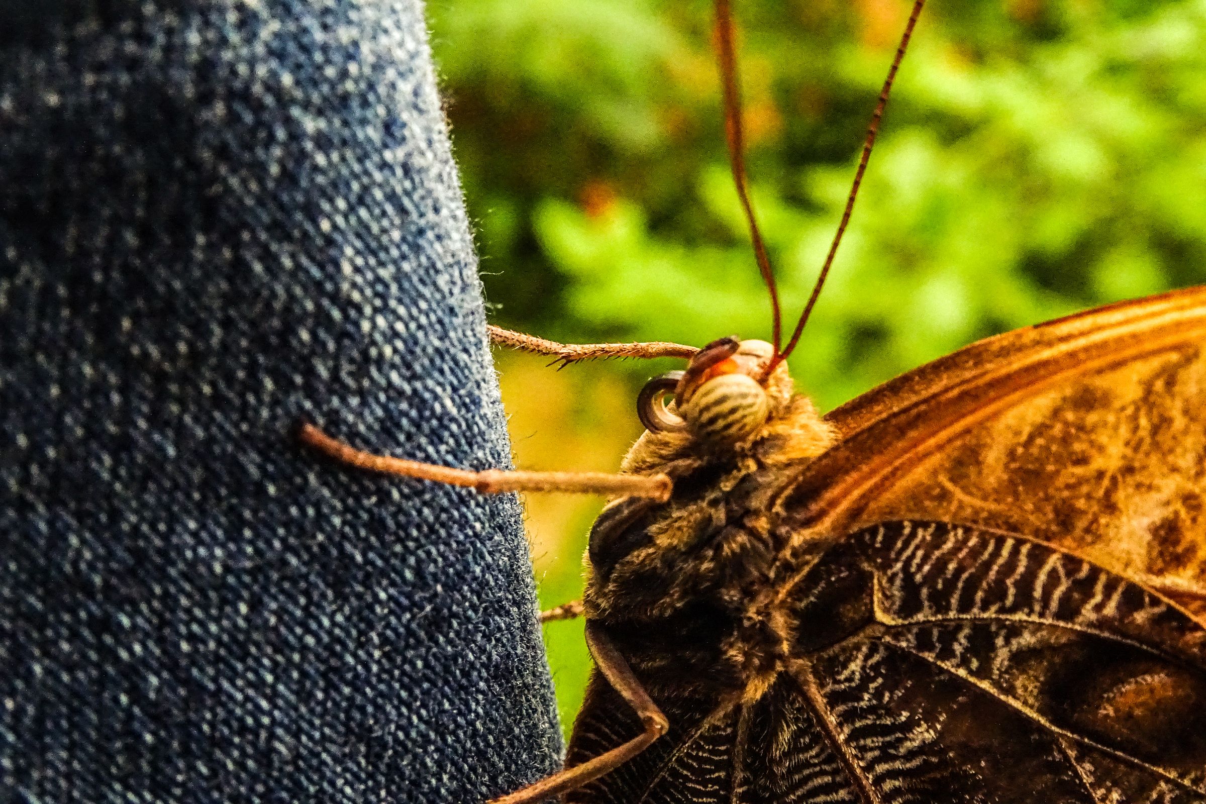 Botanischer Garten Marburg