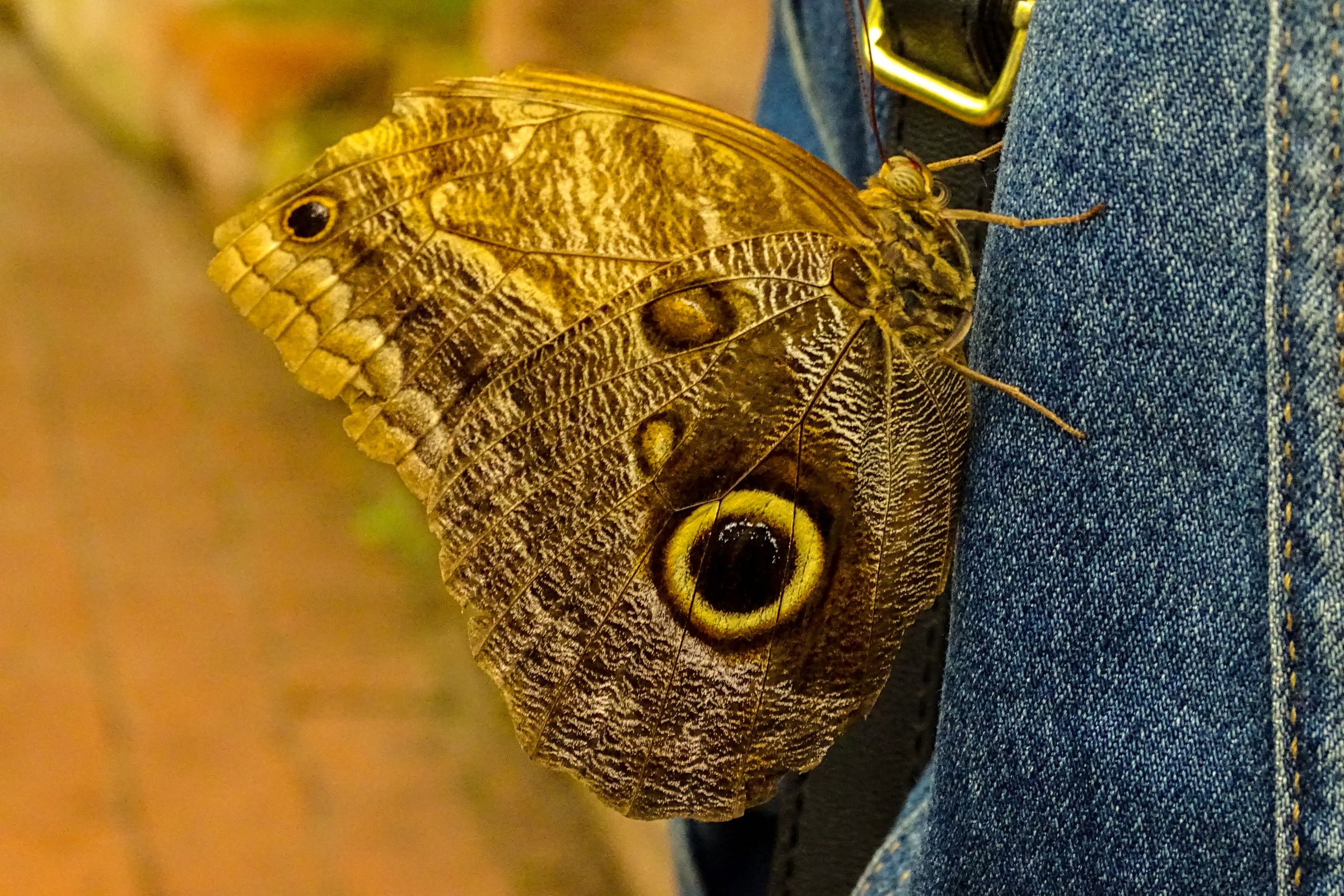 Botanischer Garten Marburg