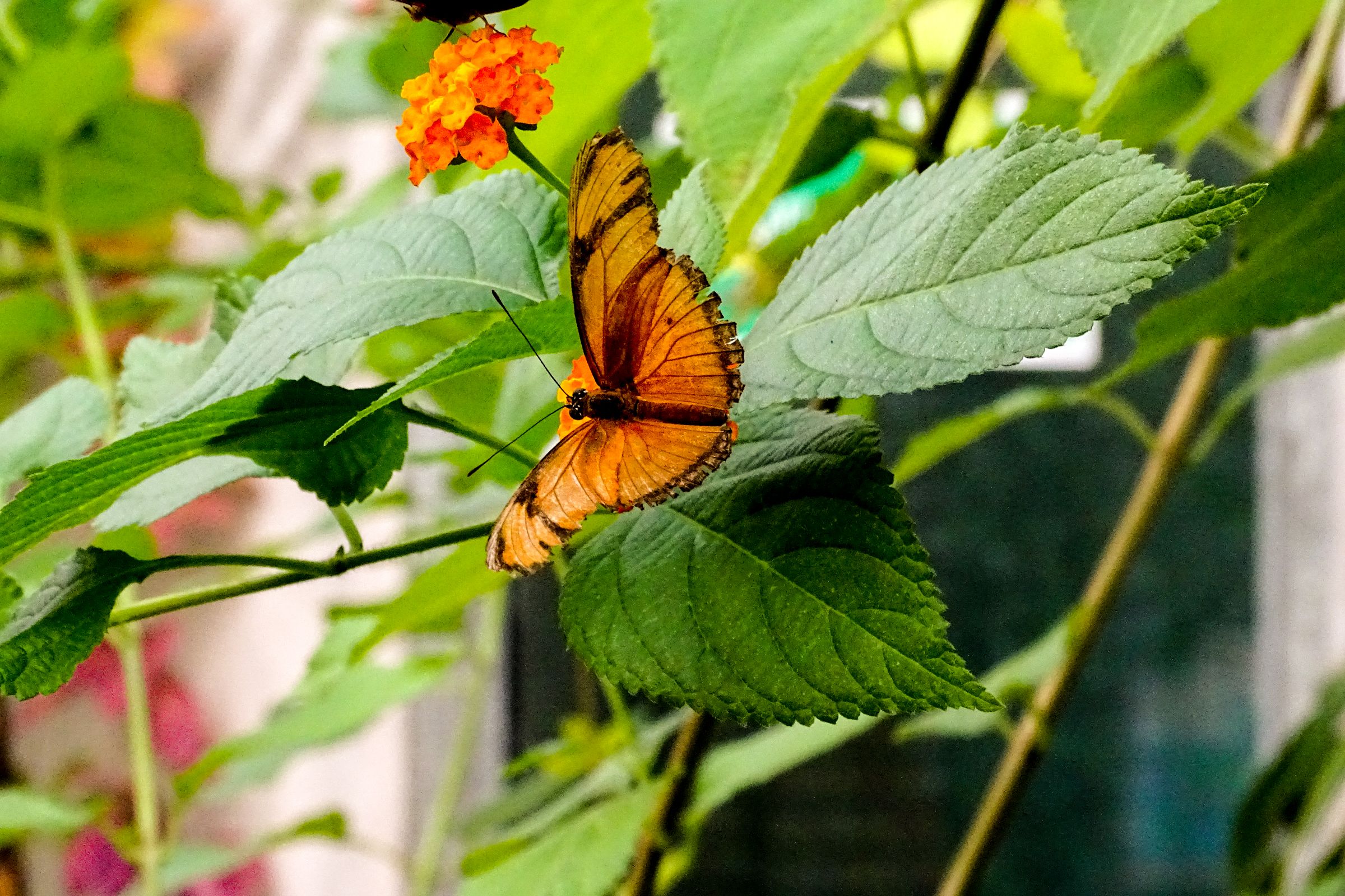 Botanischer Garten Marburg