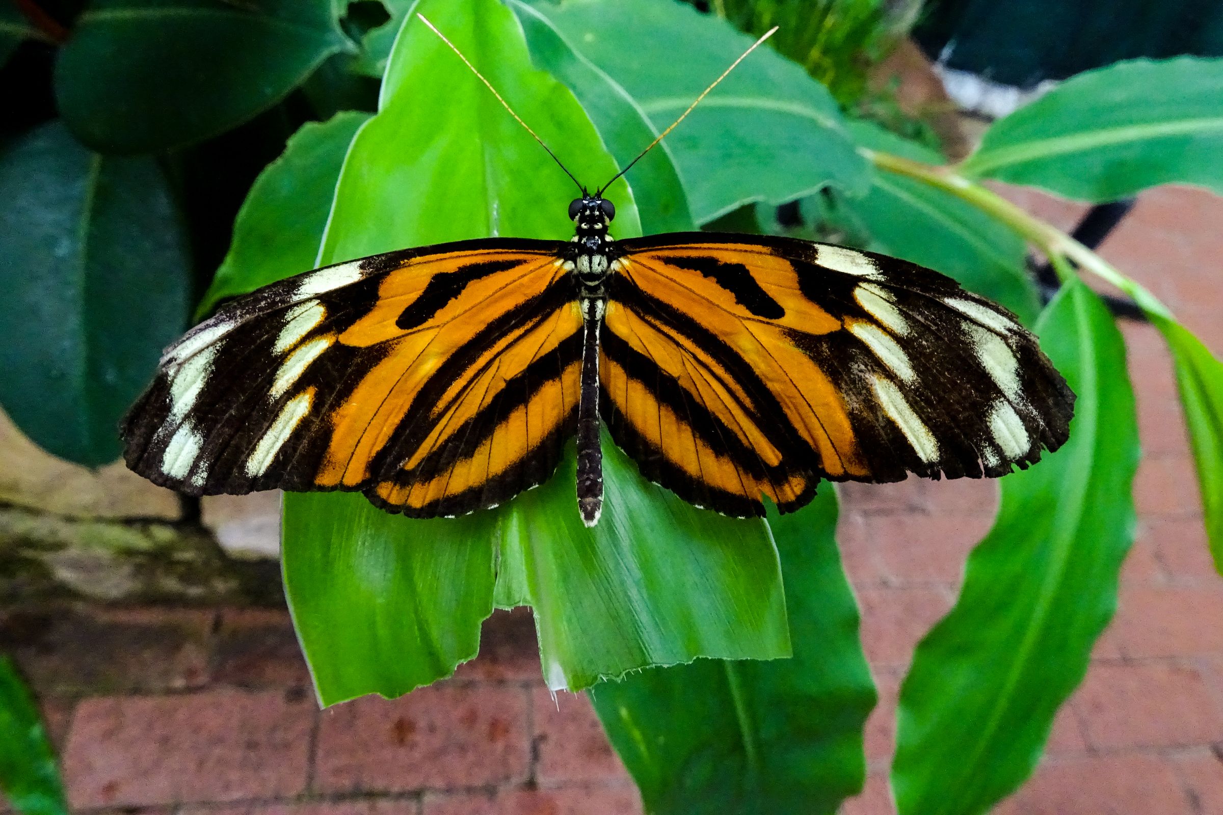 Botanischer Garten Marburg