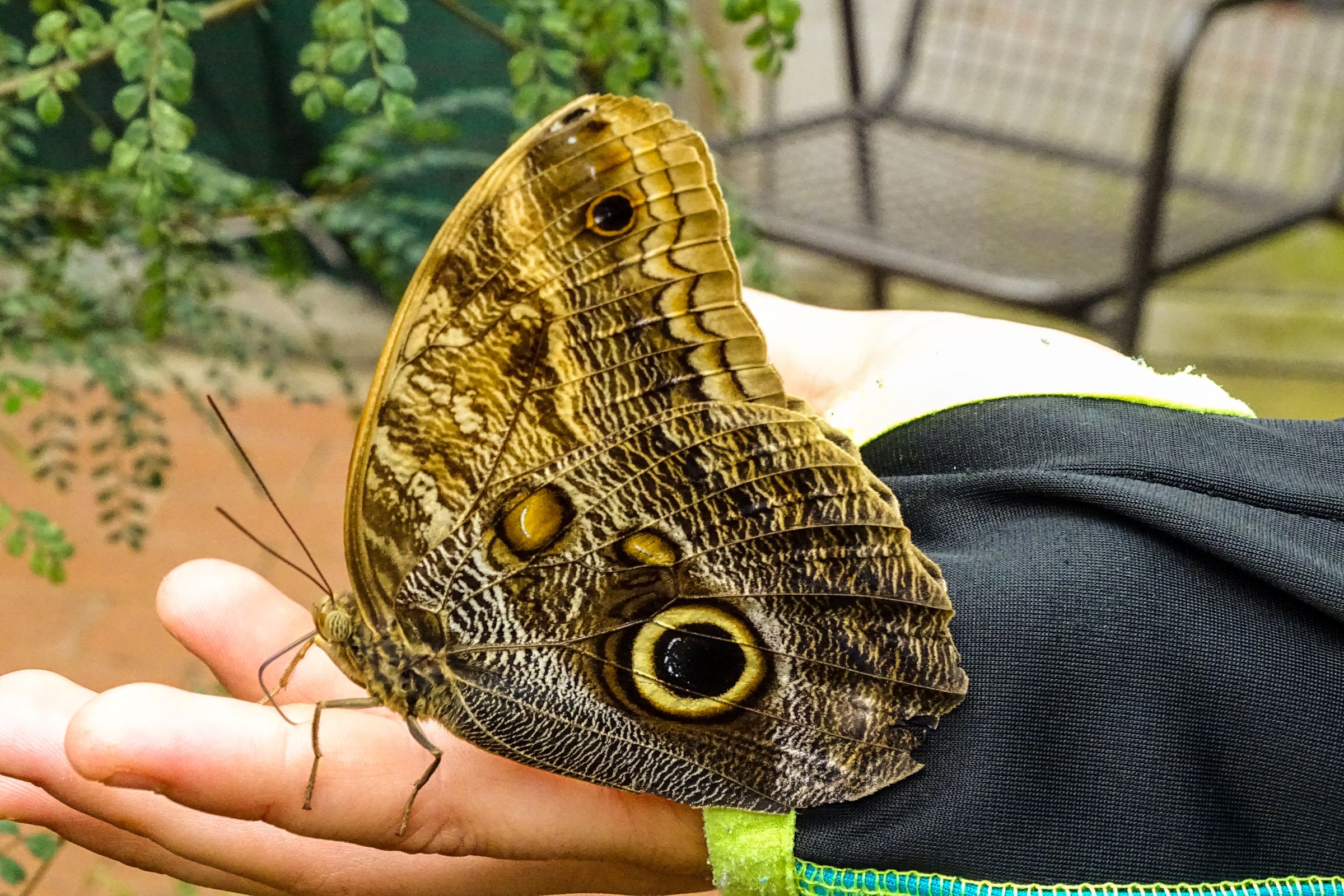 Botanischer Garten Marburg