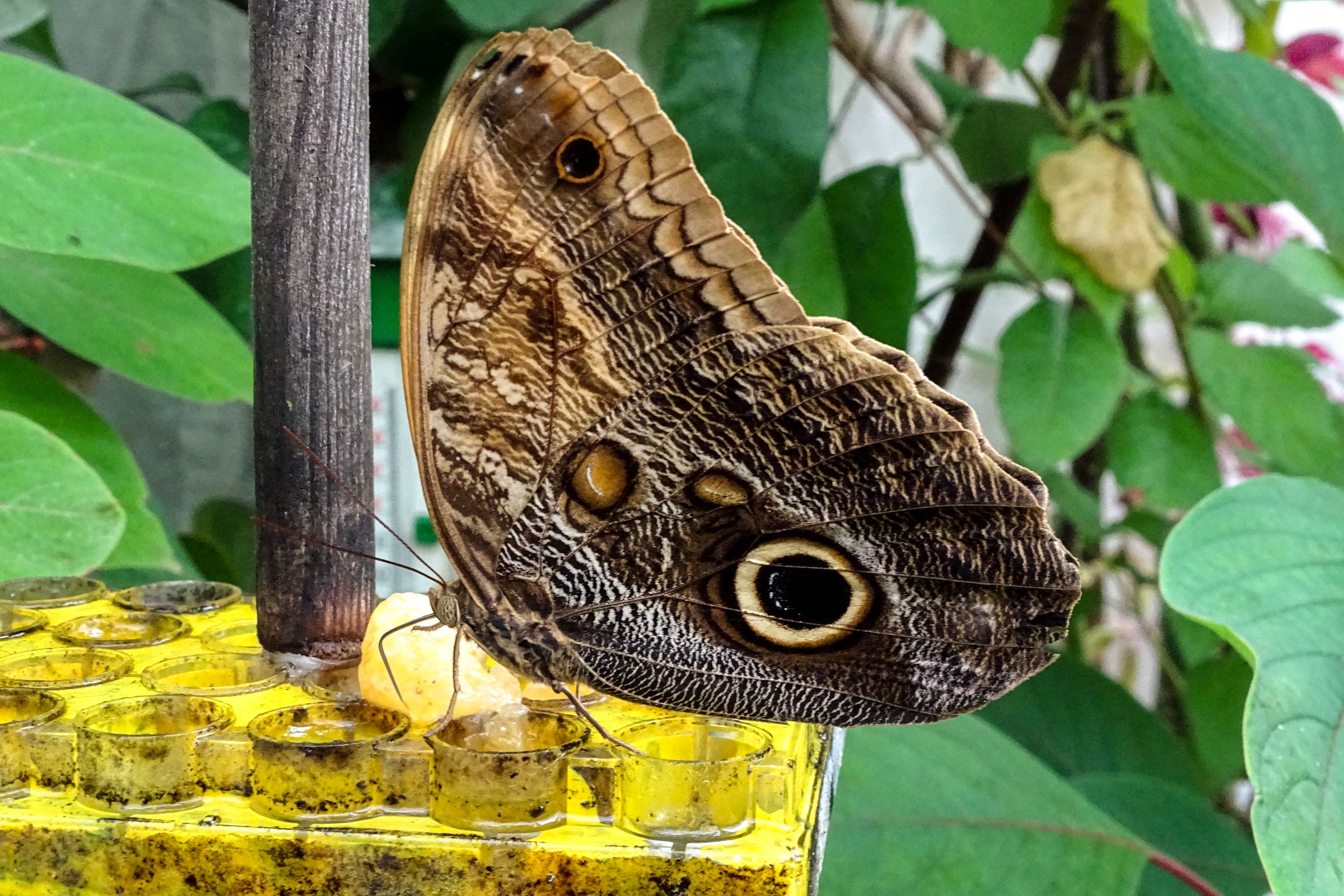 Botanischer Garten Marburg