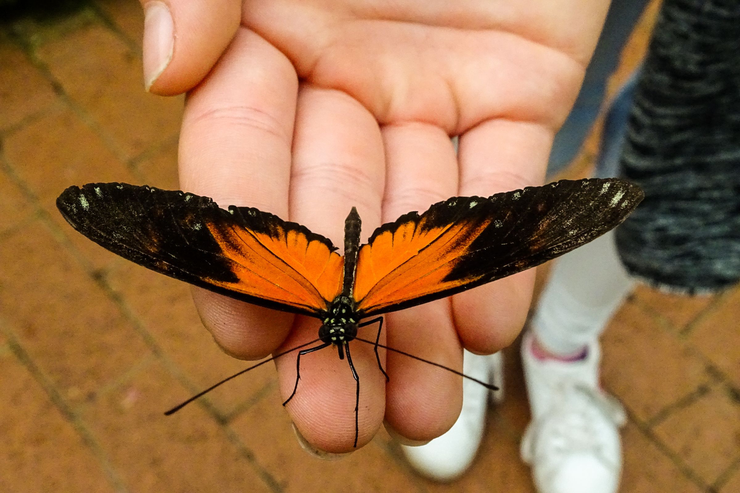 Botanischer Garten Marburg