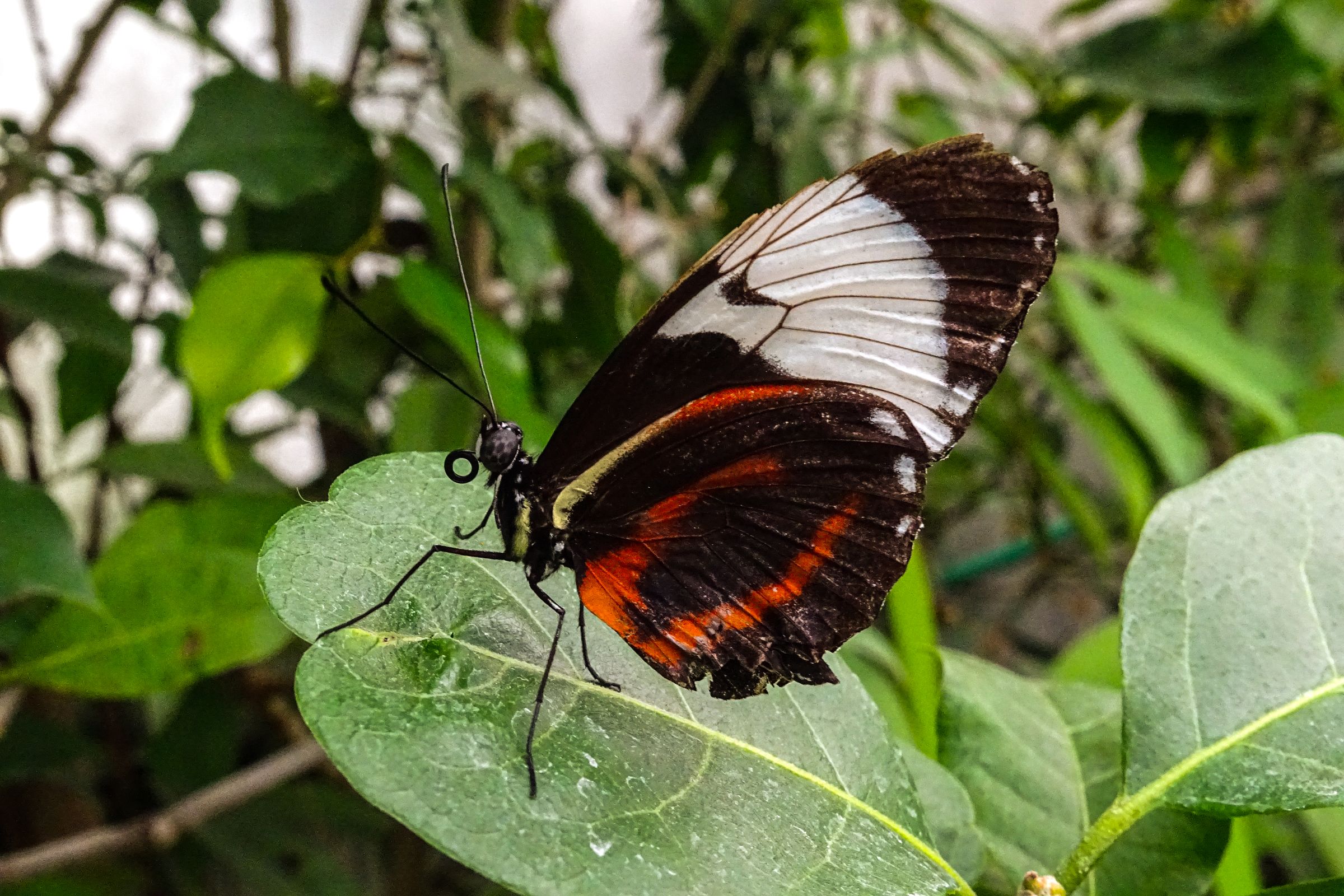 Botanischer Garten Marburg